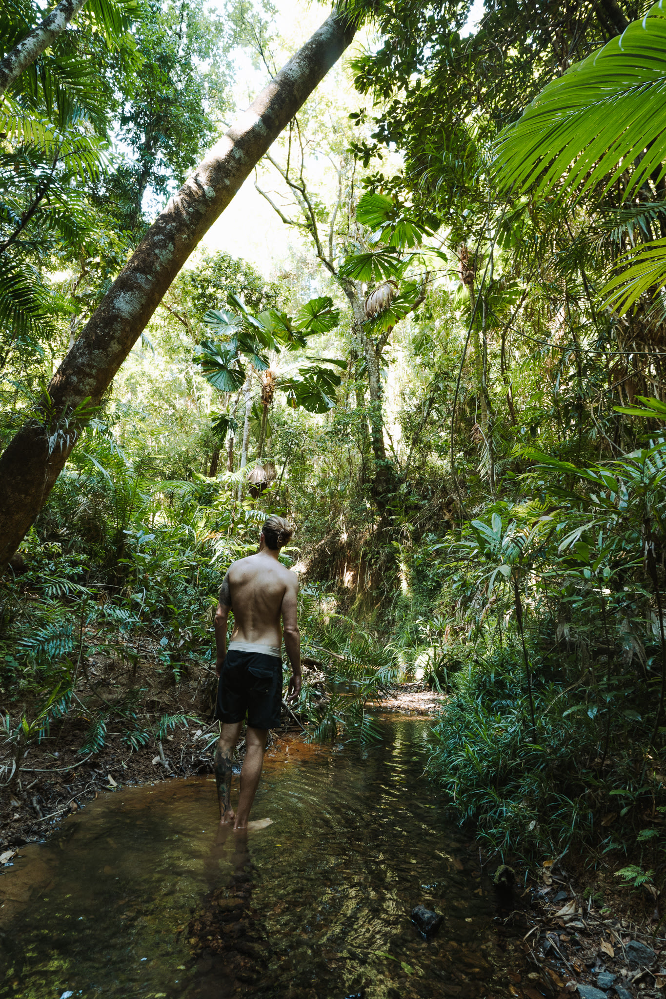 The near by creek, good for a little dip.
