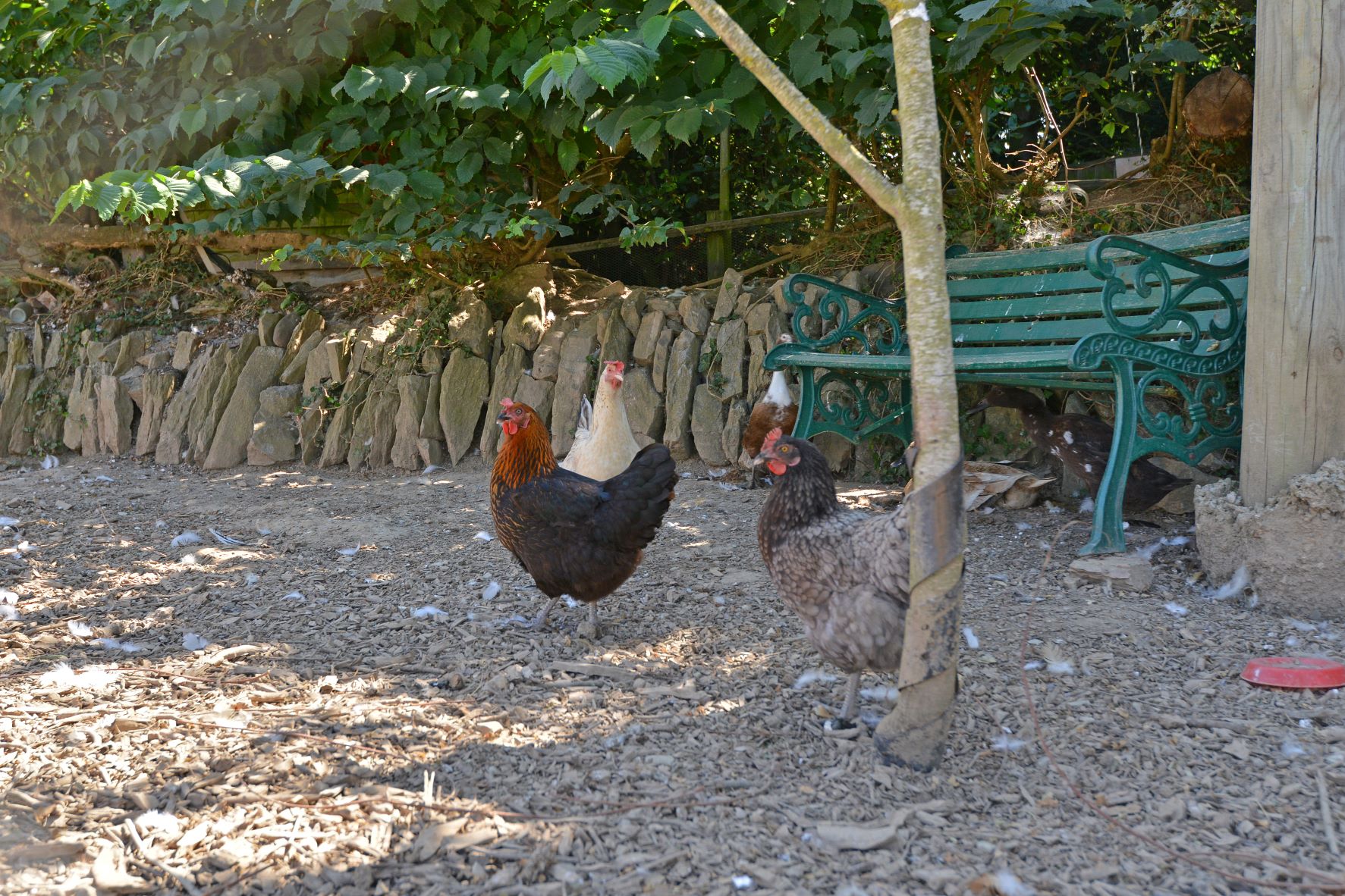 Gatcombe Park Farm Glamping