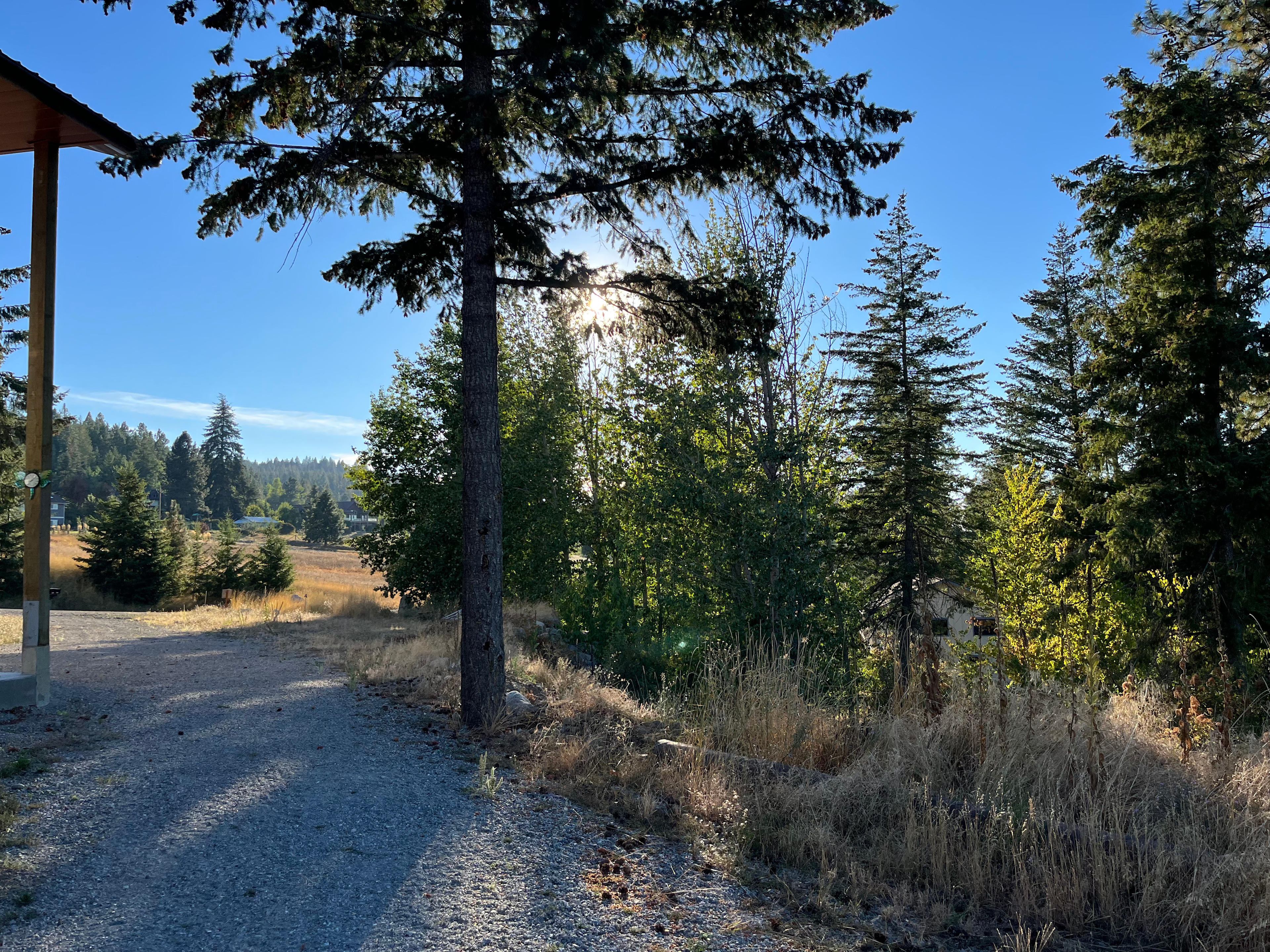 Neighbors homes in the distance. The lot feels quite private with the tree coverage.