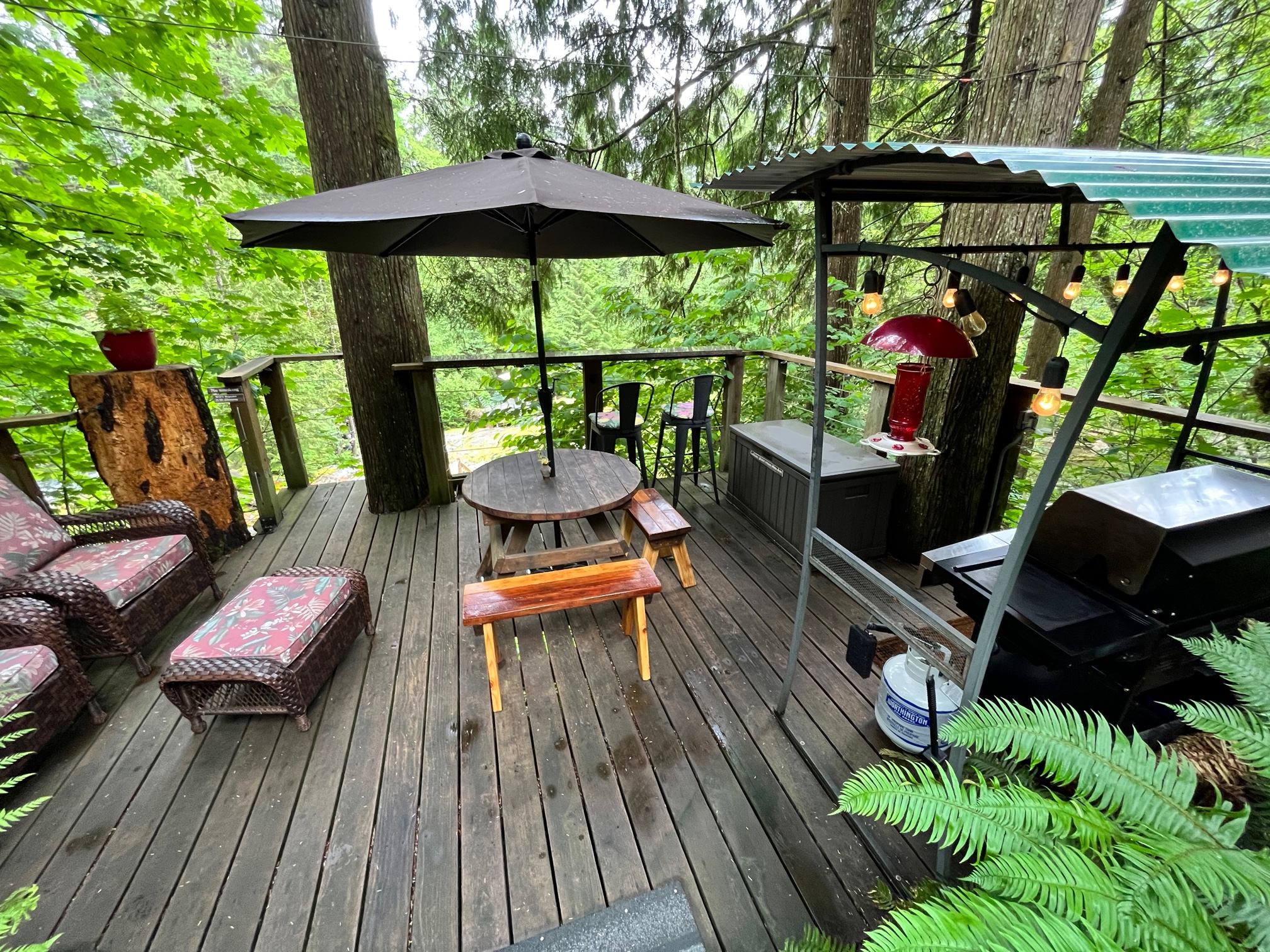 An Experience!-Golden Ears Glamping