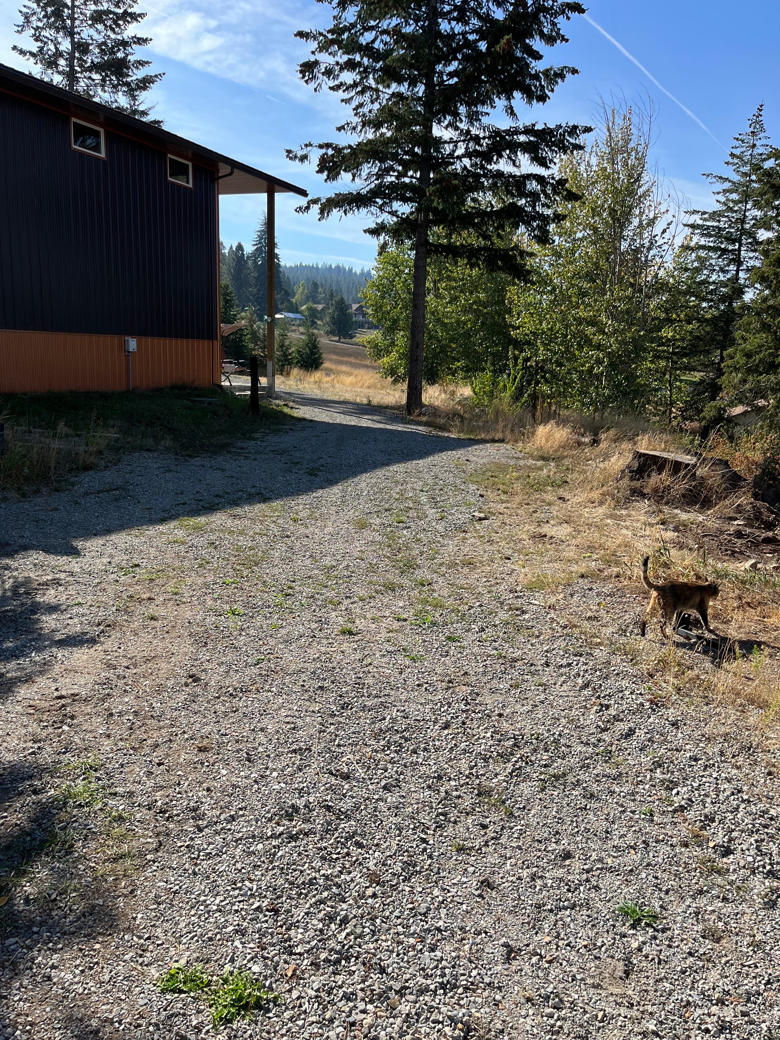 Spacious pull through for parking, featuring our cat Millie.