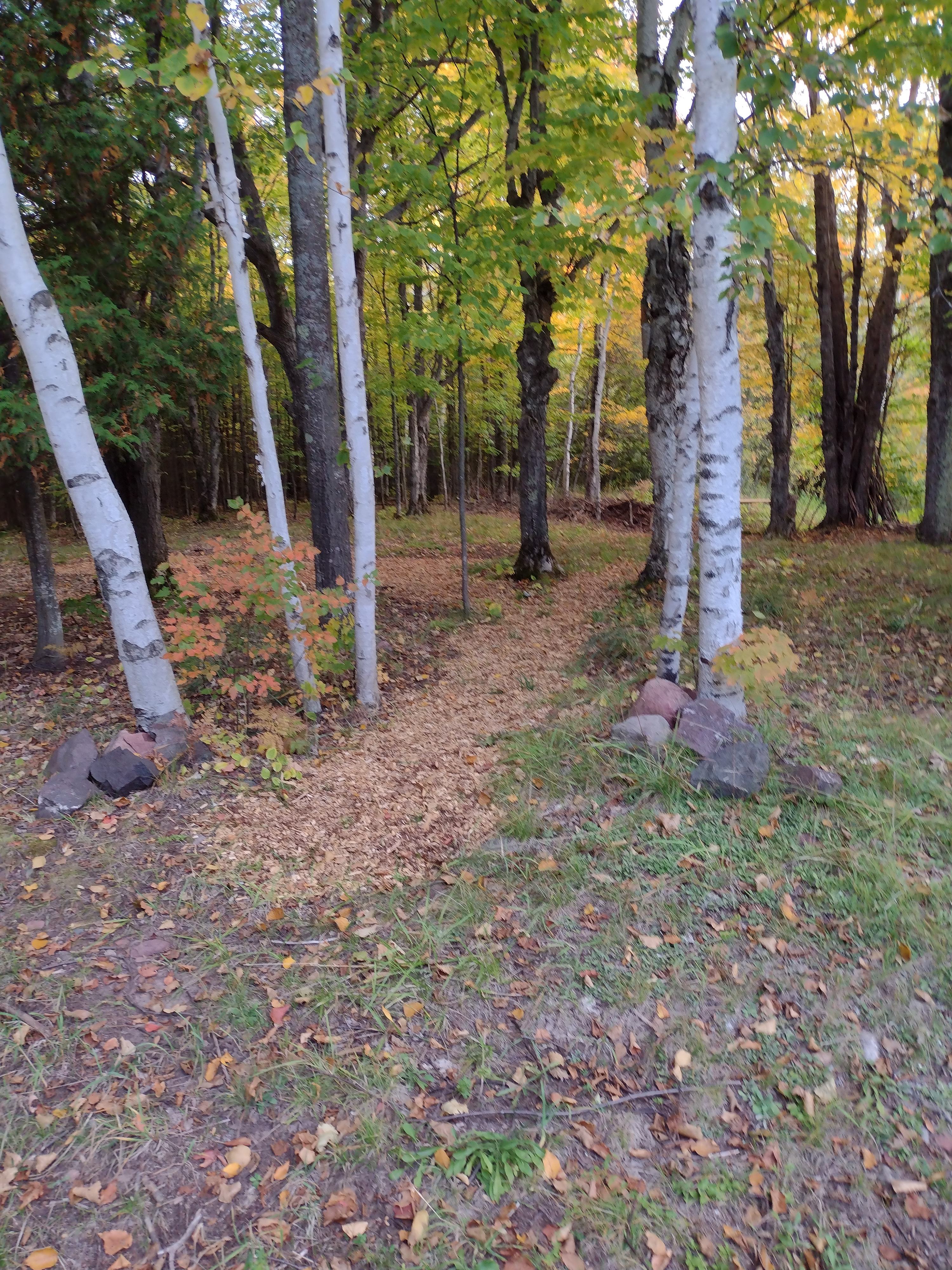 Sylvan Pond Campsite