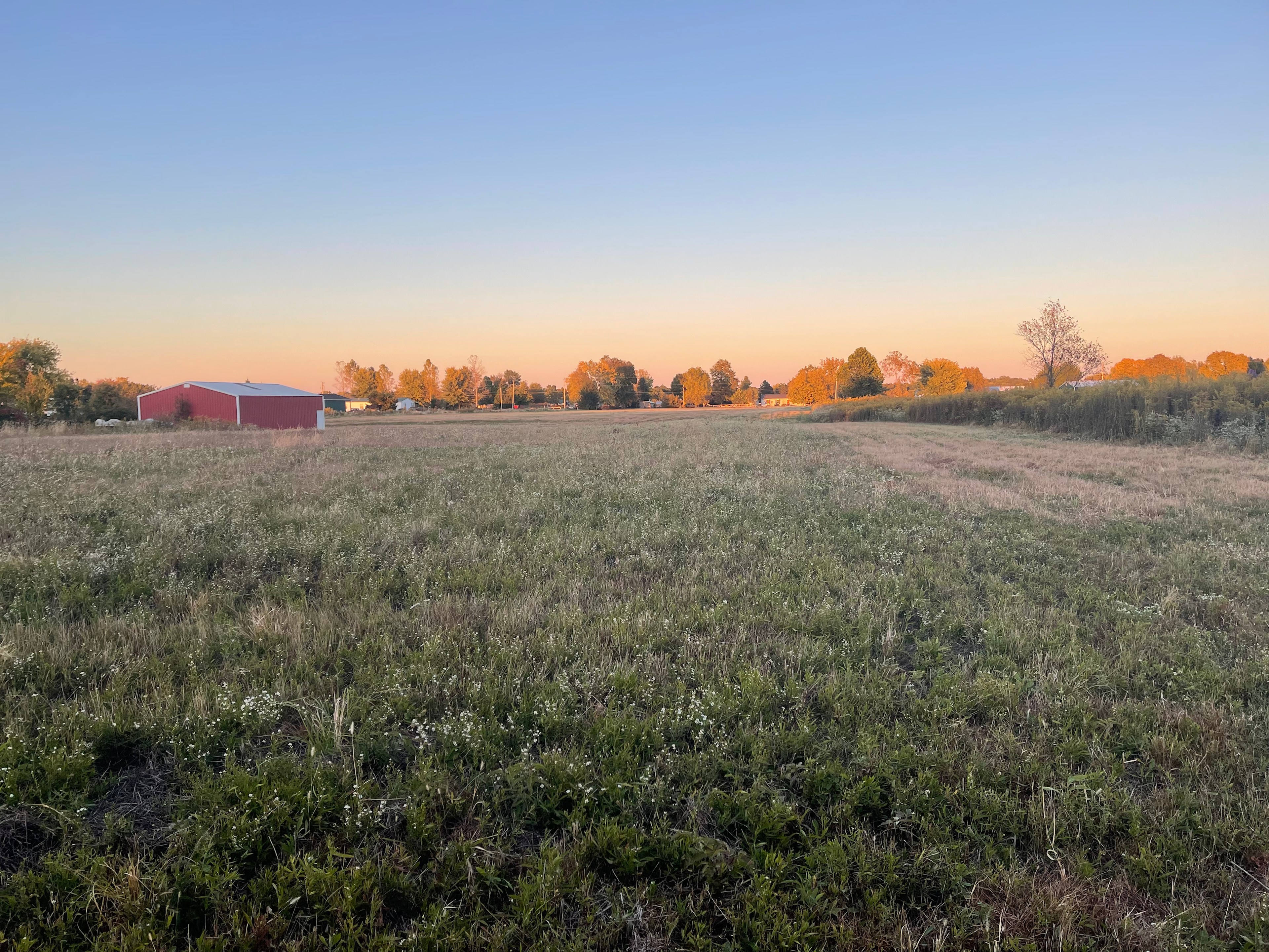 Open Meadows Farm