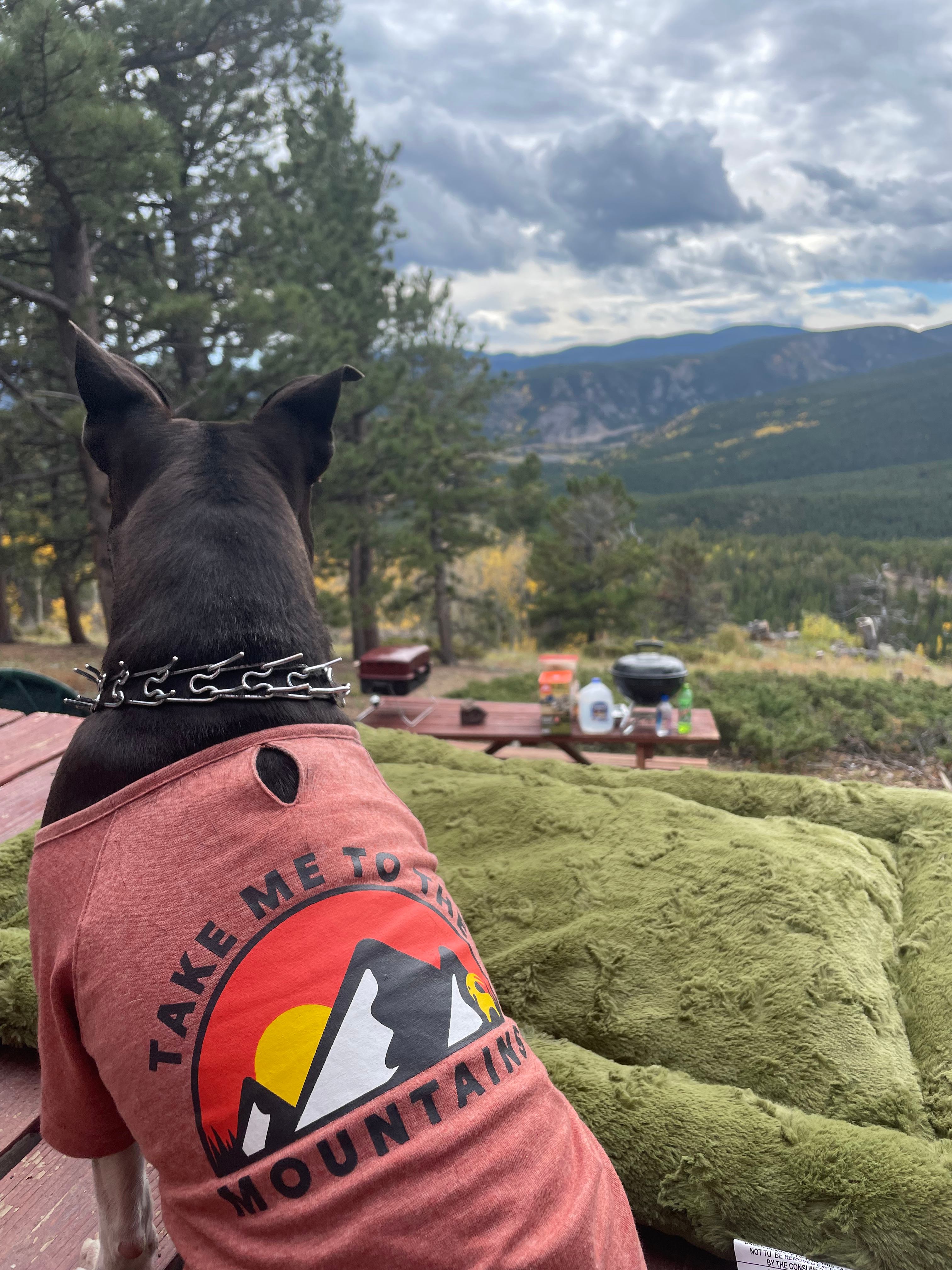 Neverland Camp Wilder