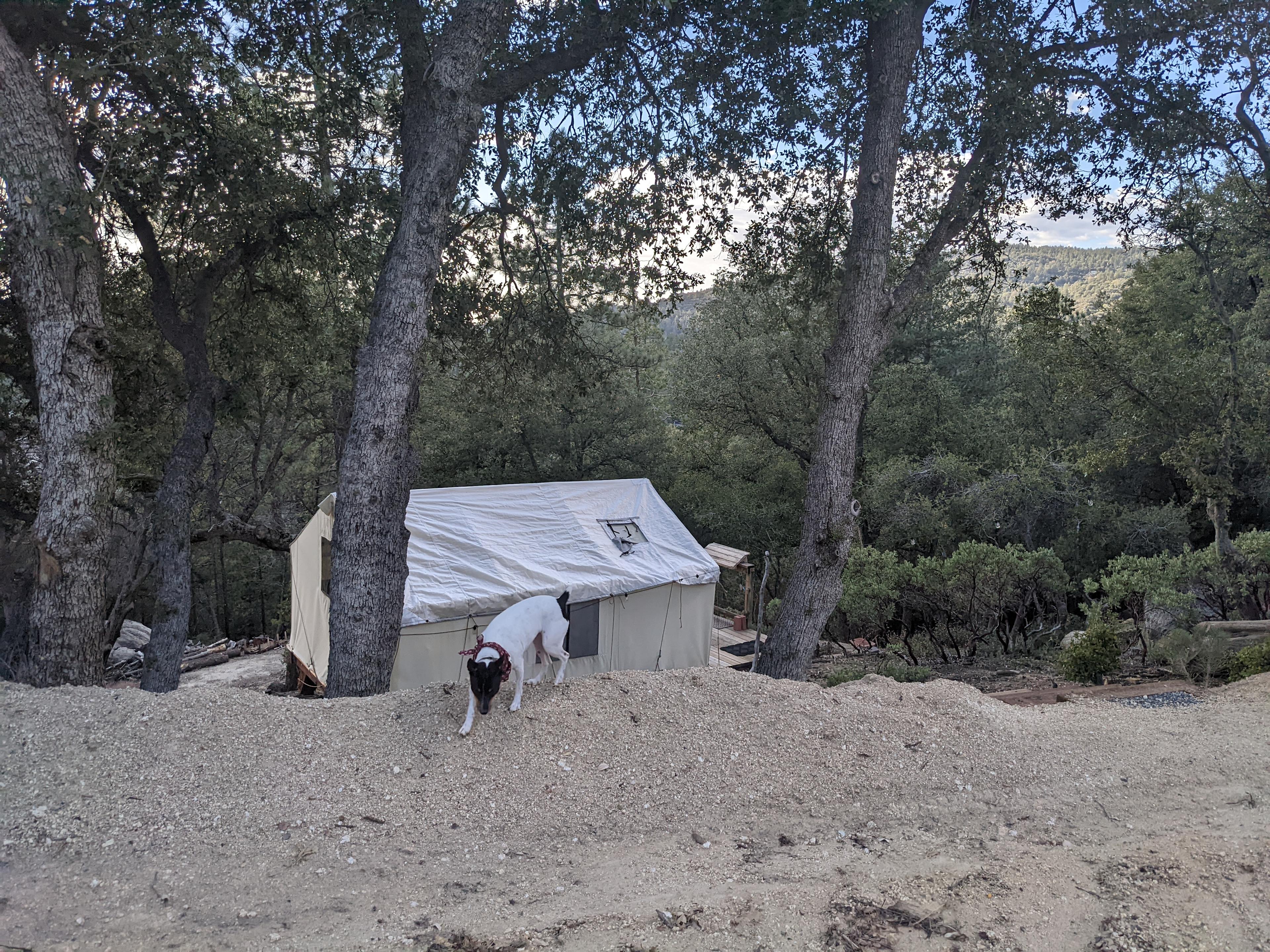 Serene forest privacy for 4WD