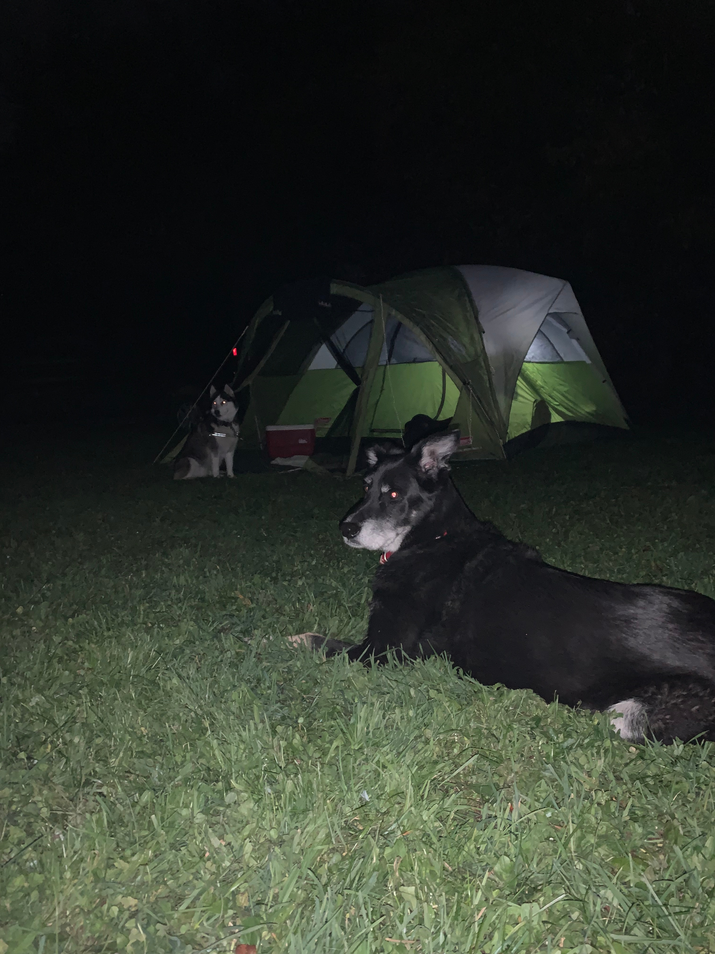 Winn Hill Farms Camping