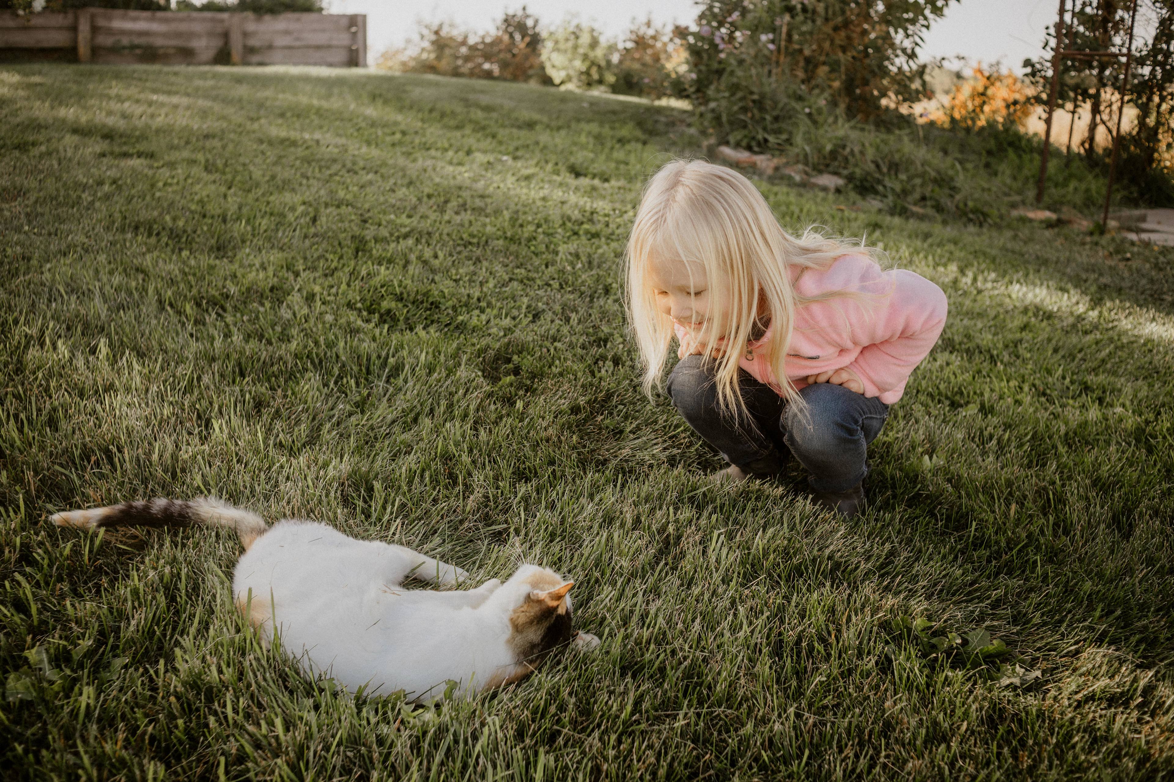 Our daughter loved the cats! 
