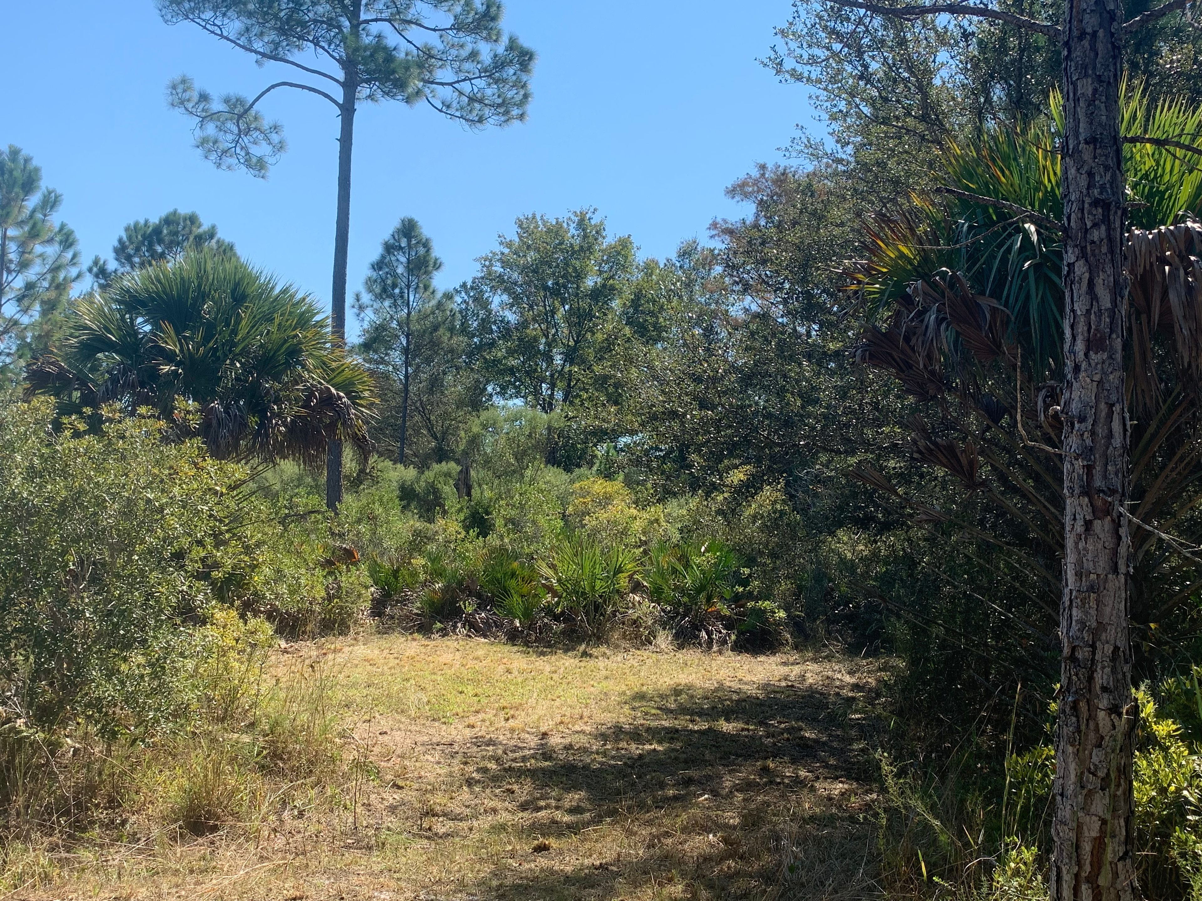 Quail Run Ranch