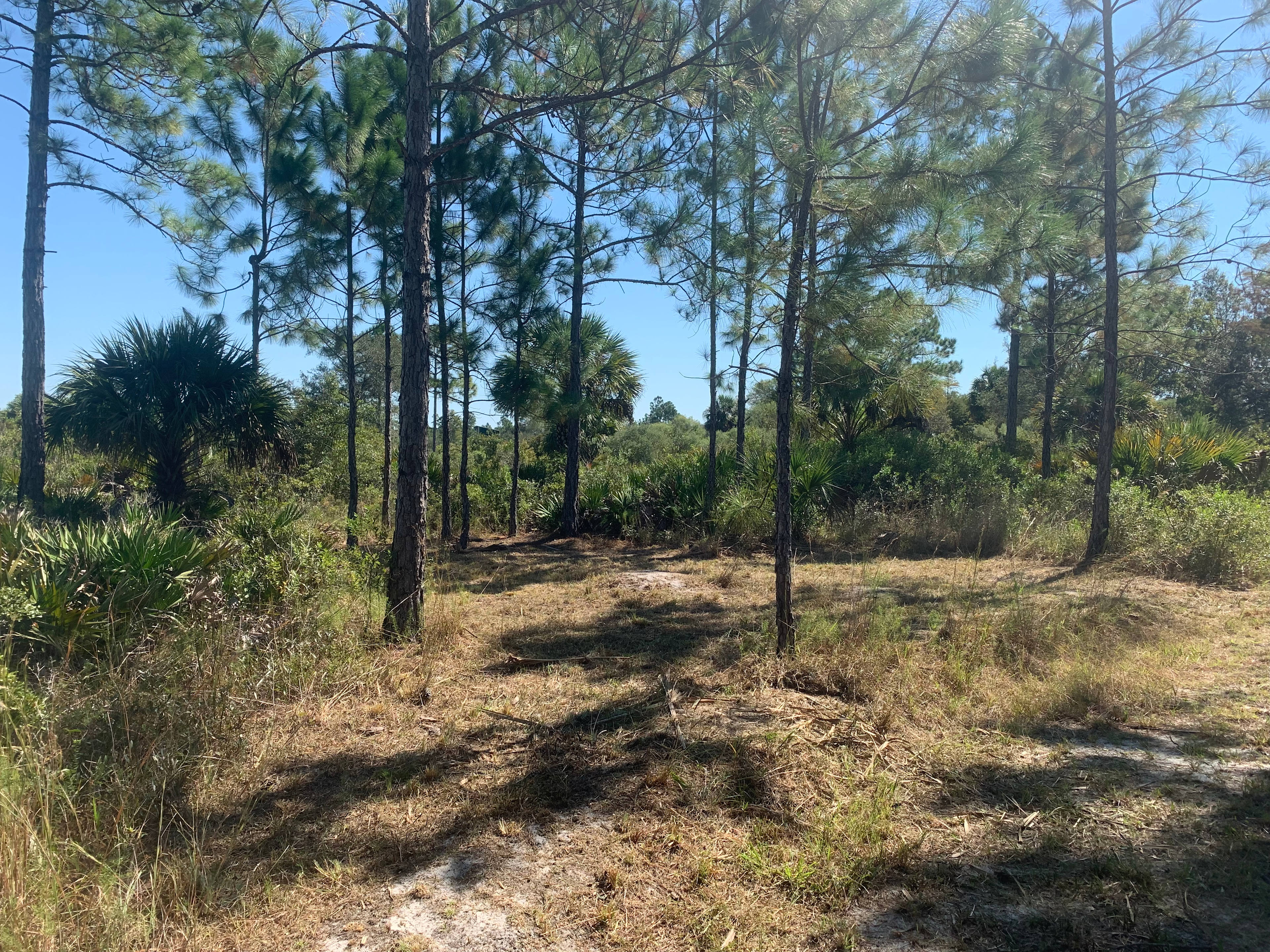 Quail Run Ranch