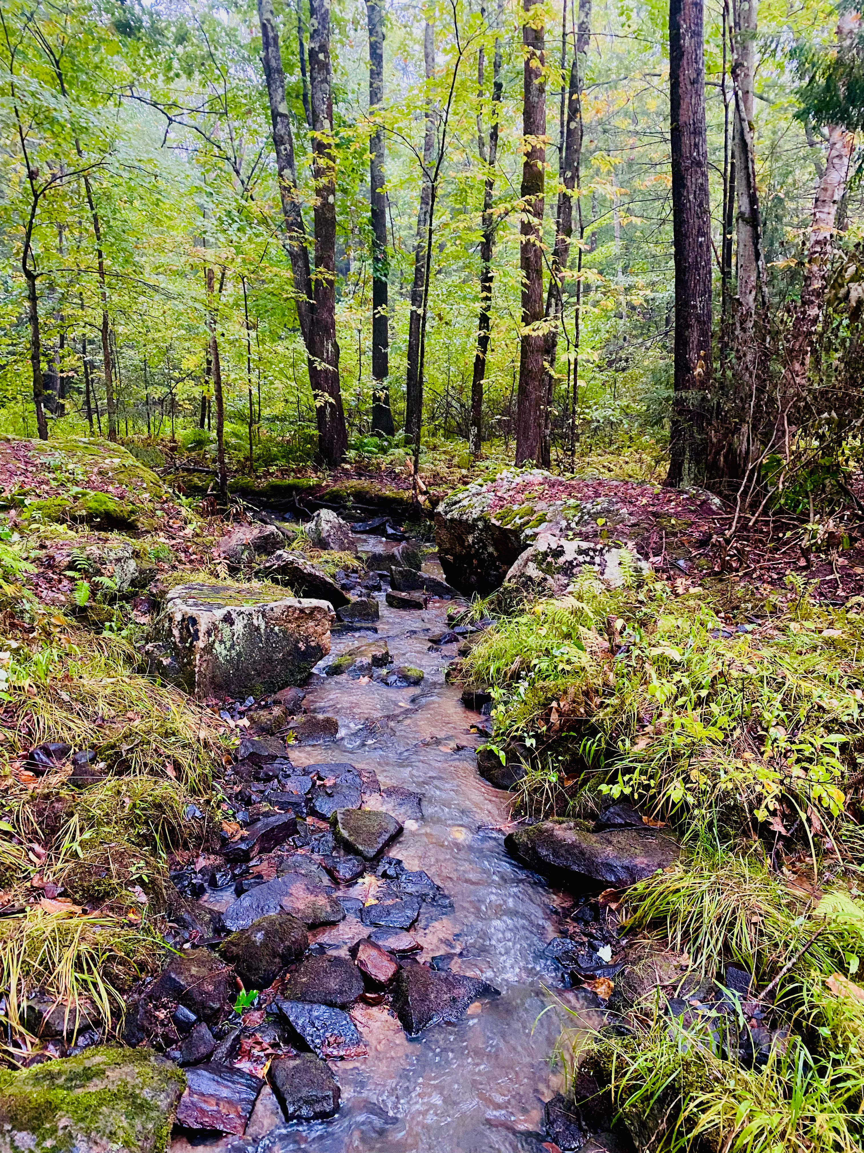 Enjoy the sounds of the babbling brook