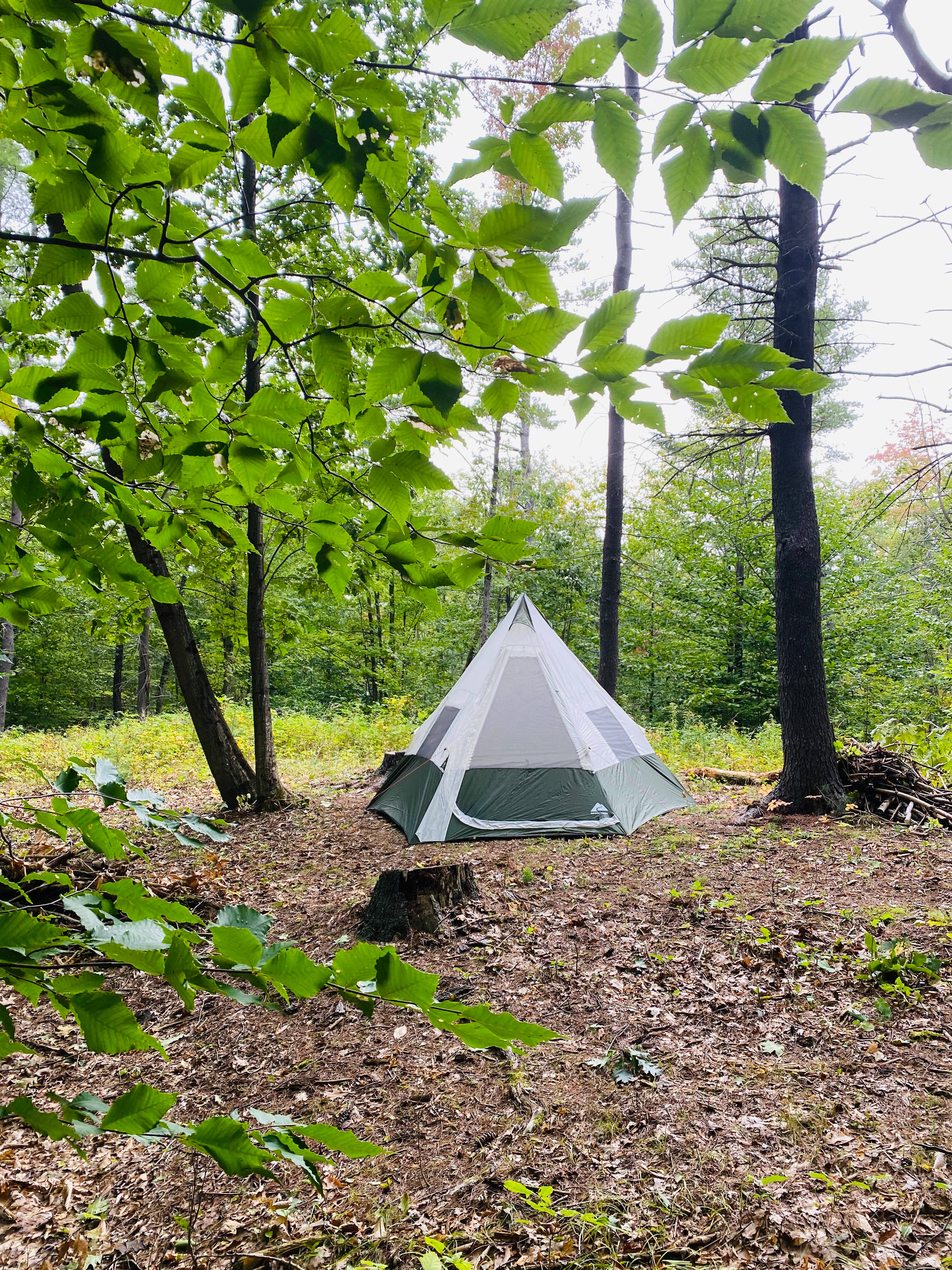 Camp site closest to the trail entrance 