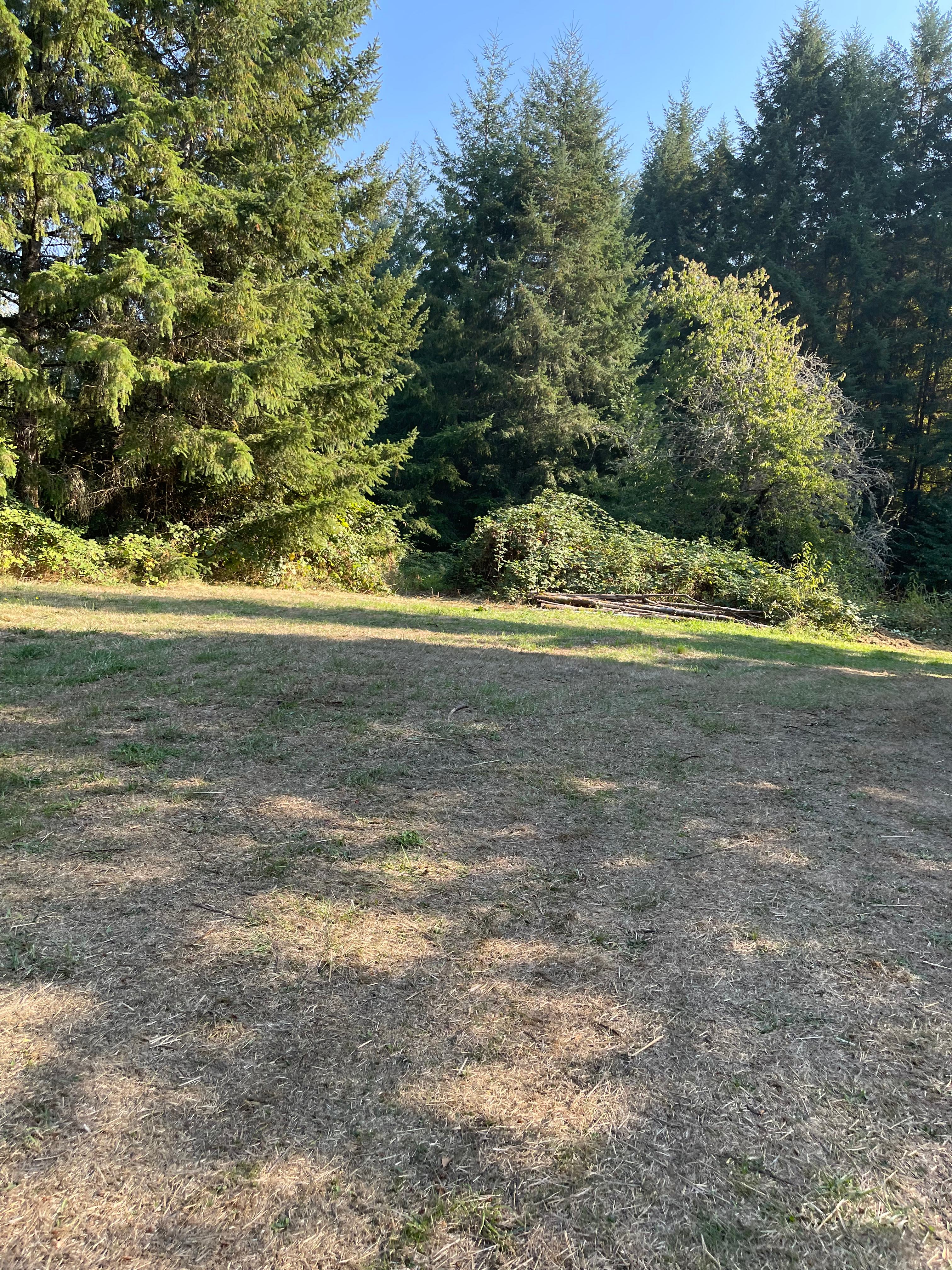 Skookumchuck Oasis