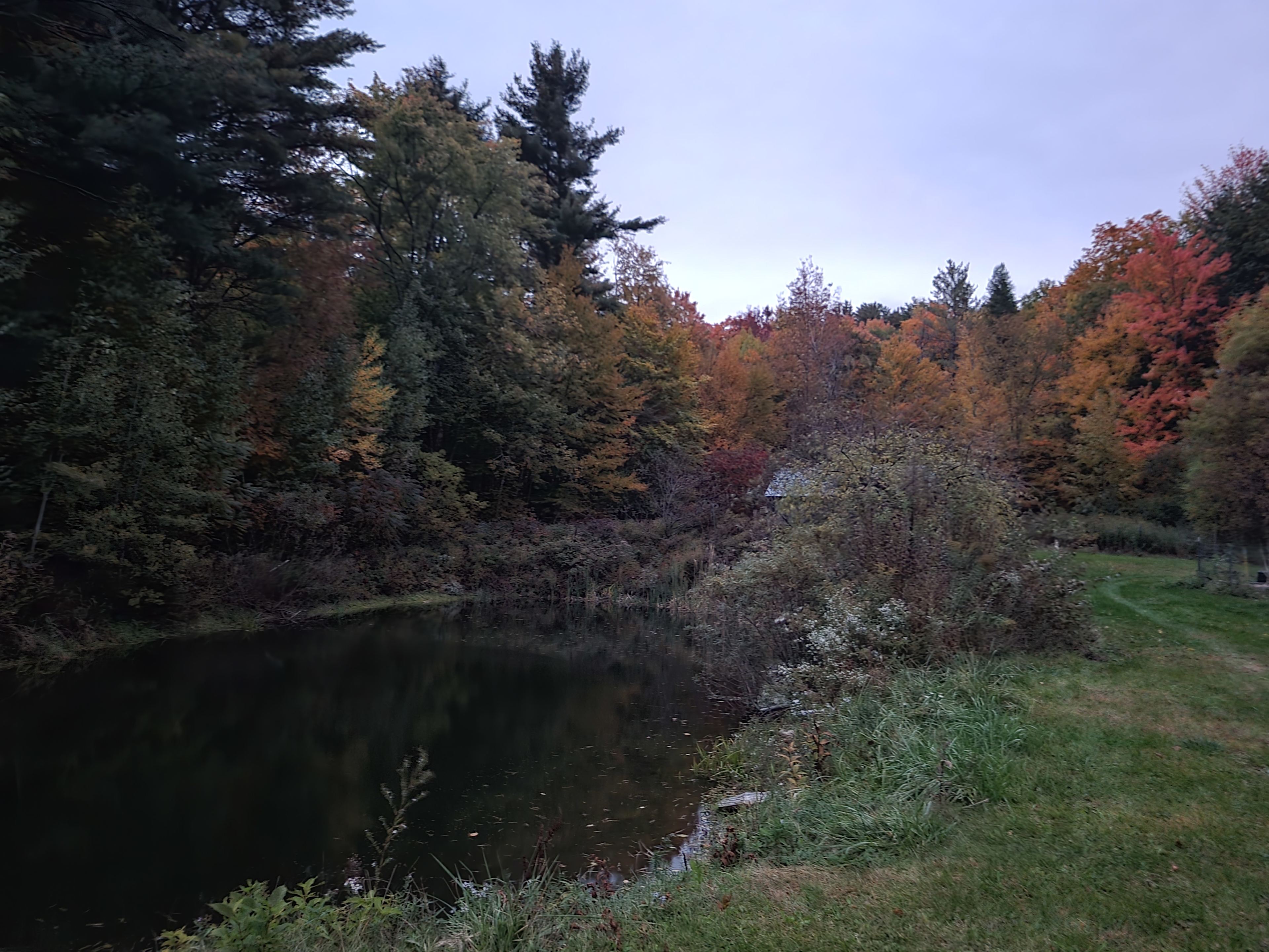 The pond on Franks property. We pulled our chevy suburban right up to it and camped there.