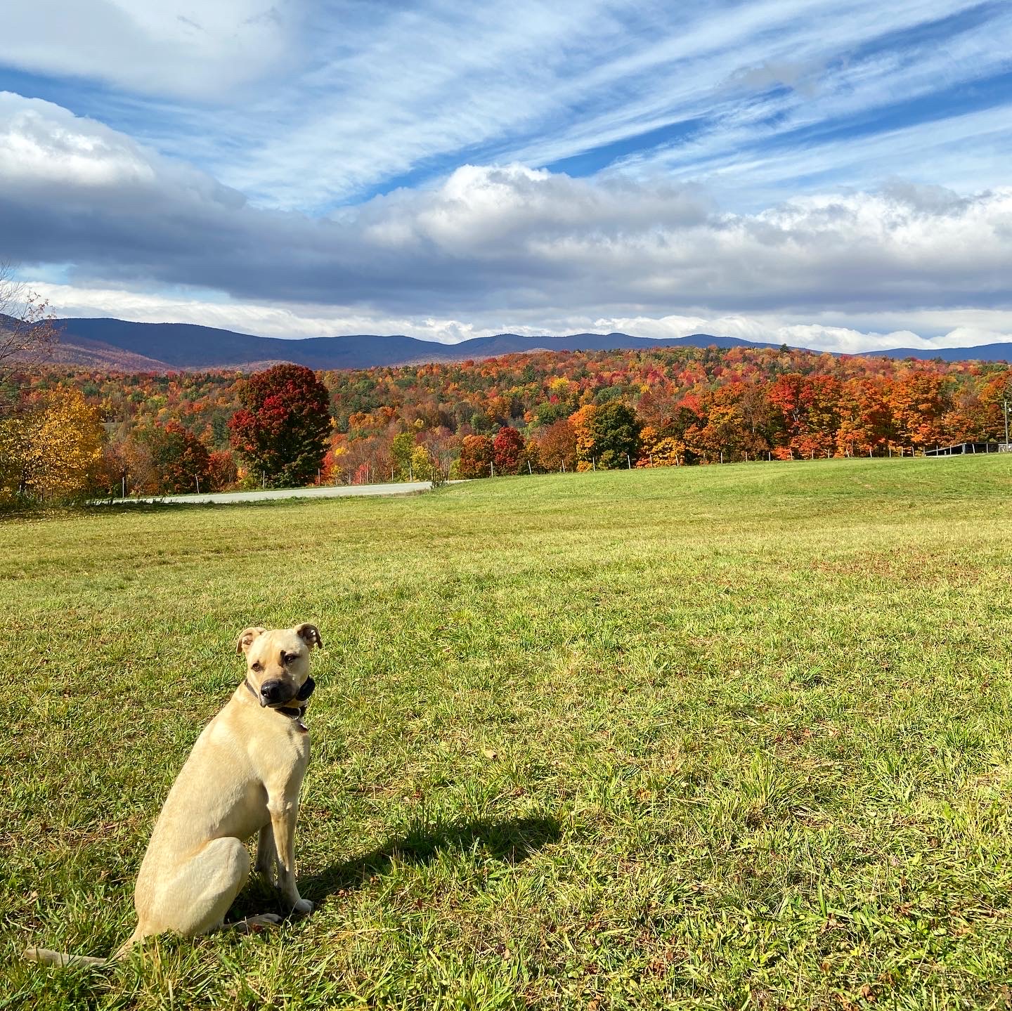 Arbuckle Acres Family Farm