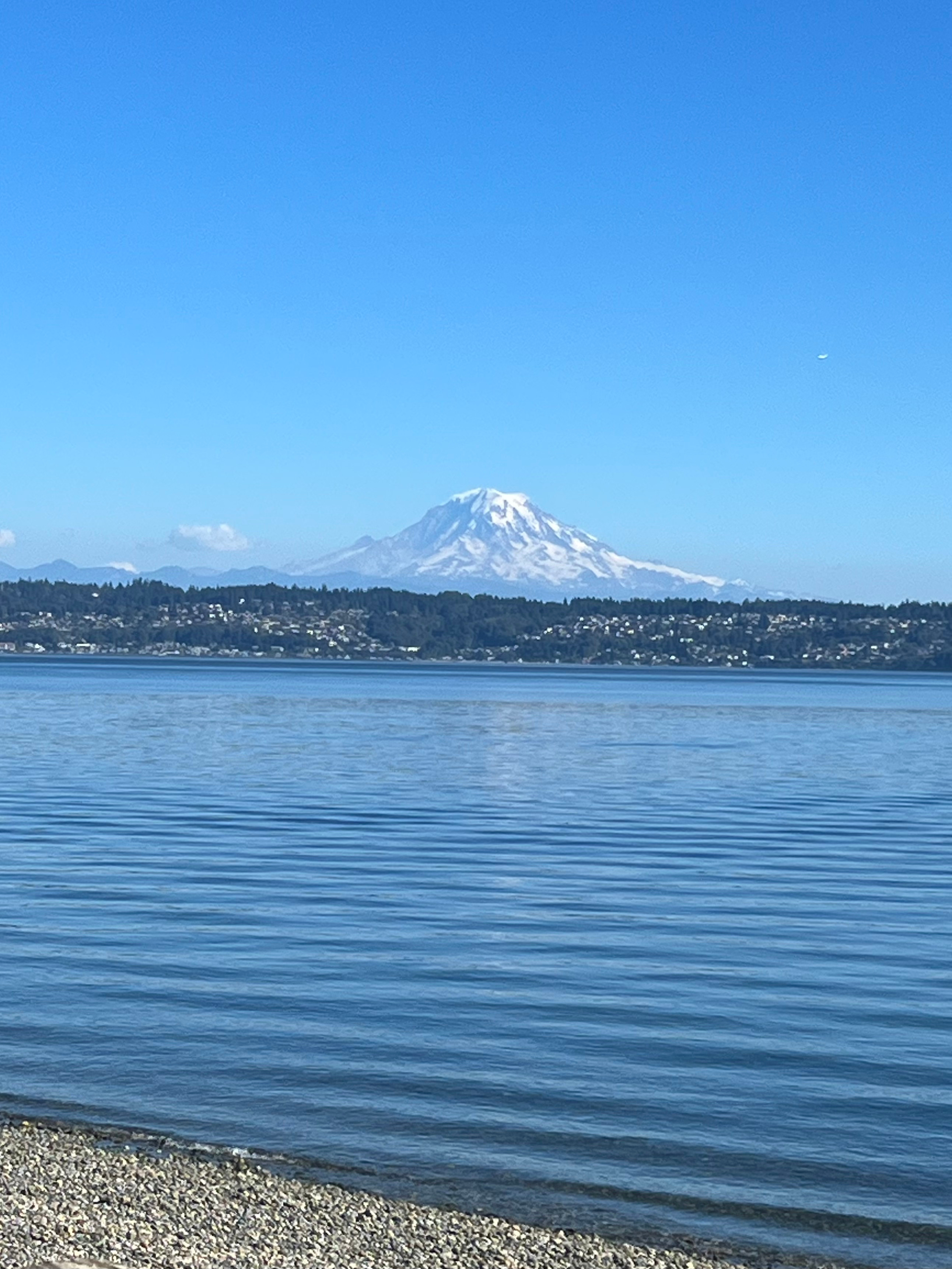 View from the bluff and beach.