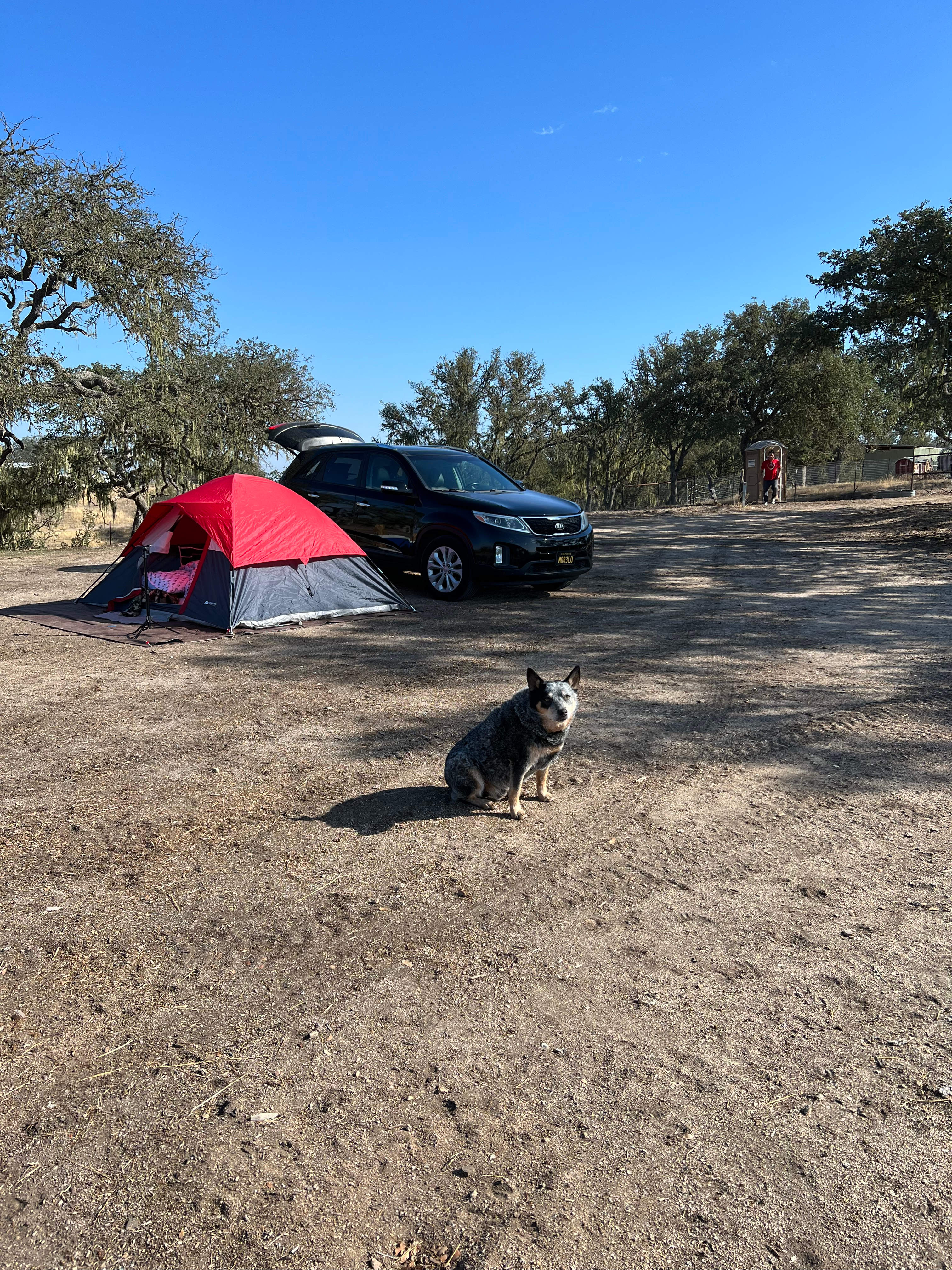 Toby proudly showcasing 