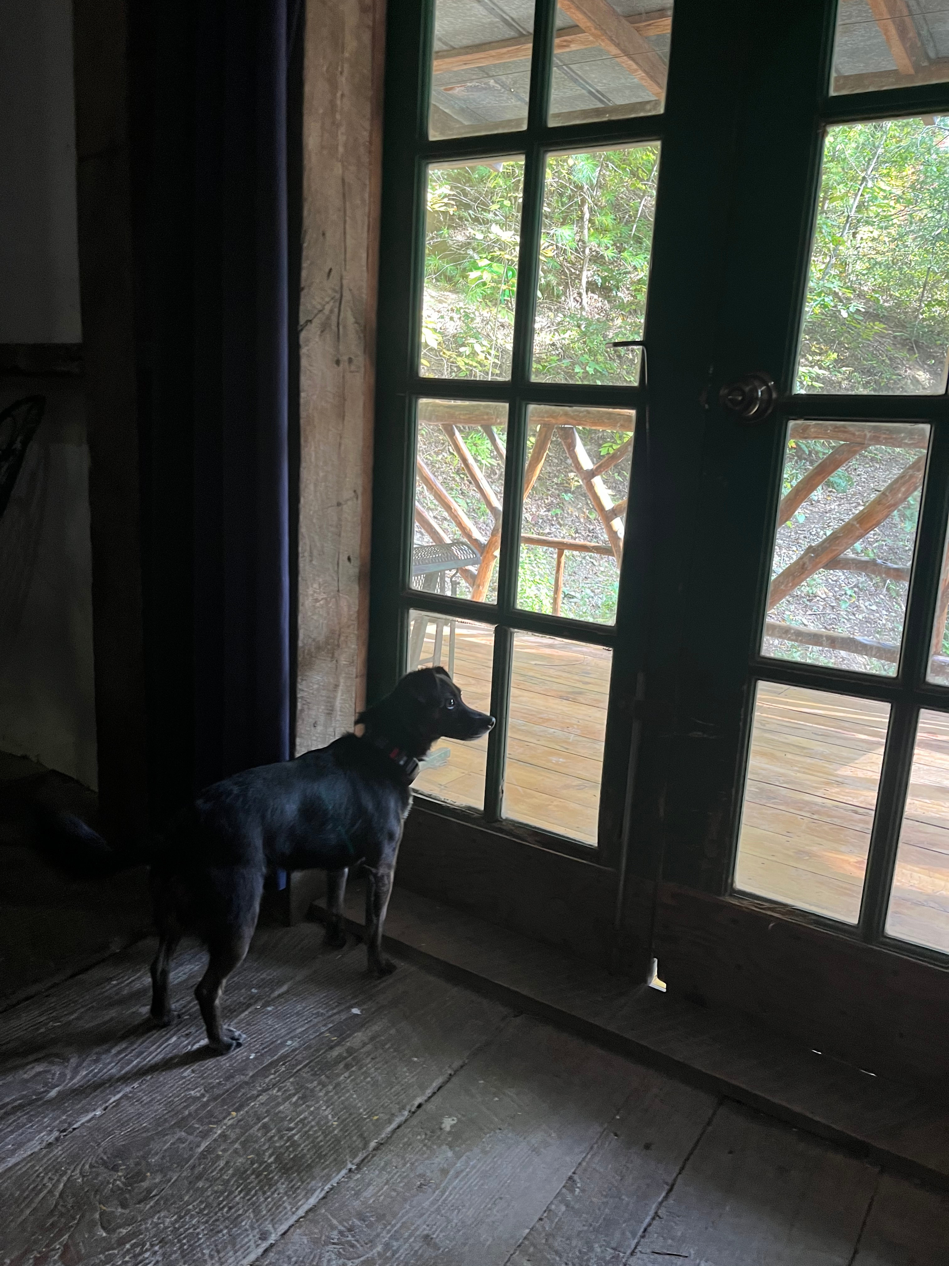 Standing Bear Farm / Hostel