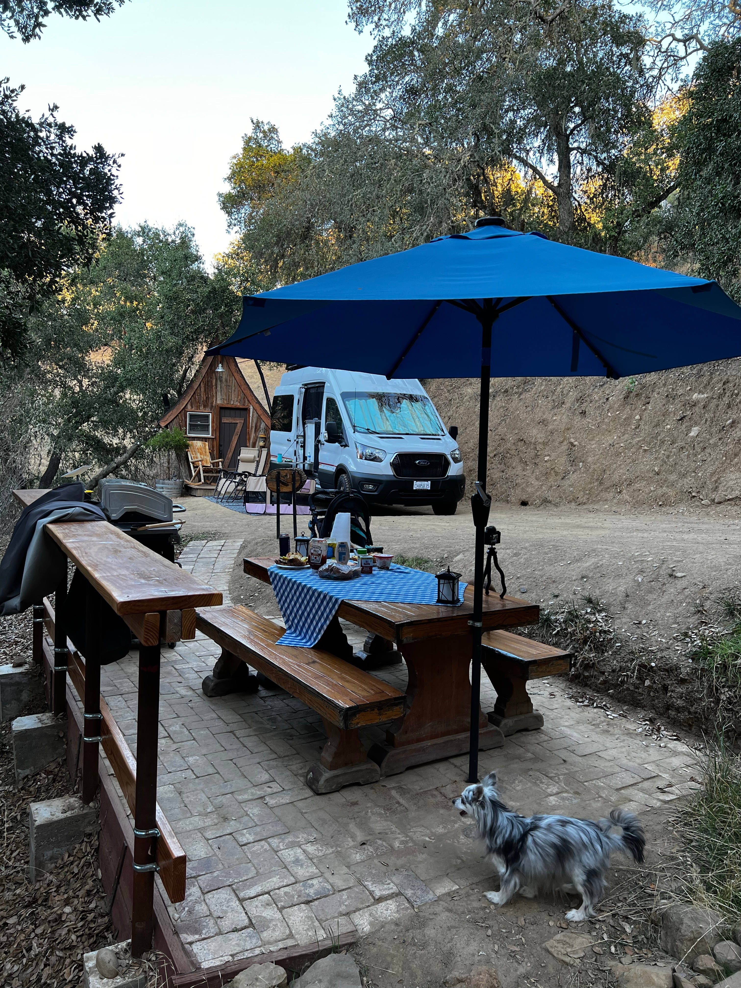 Wendee's Whimsical Campsite