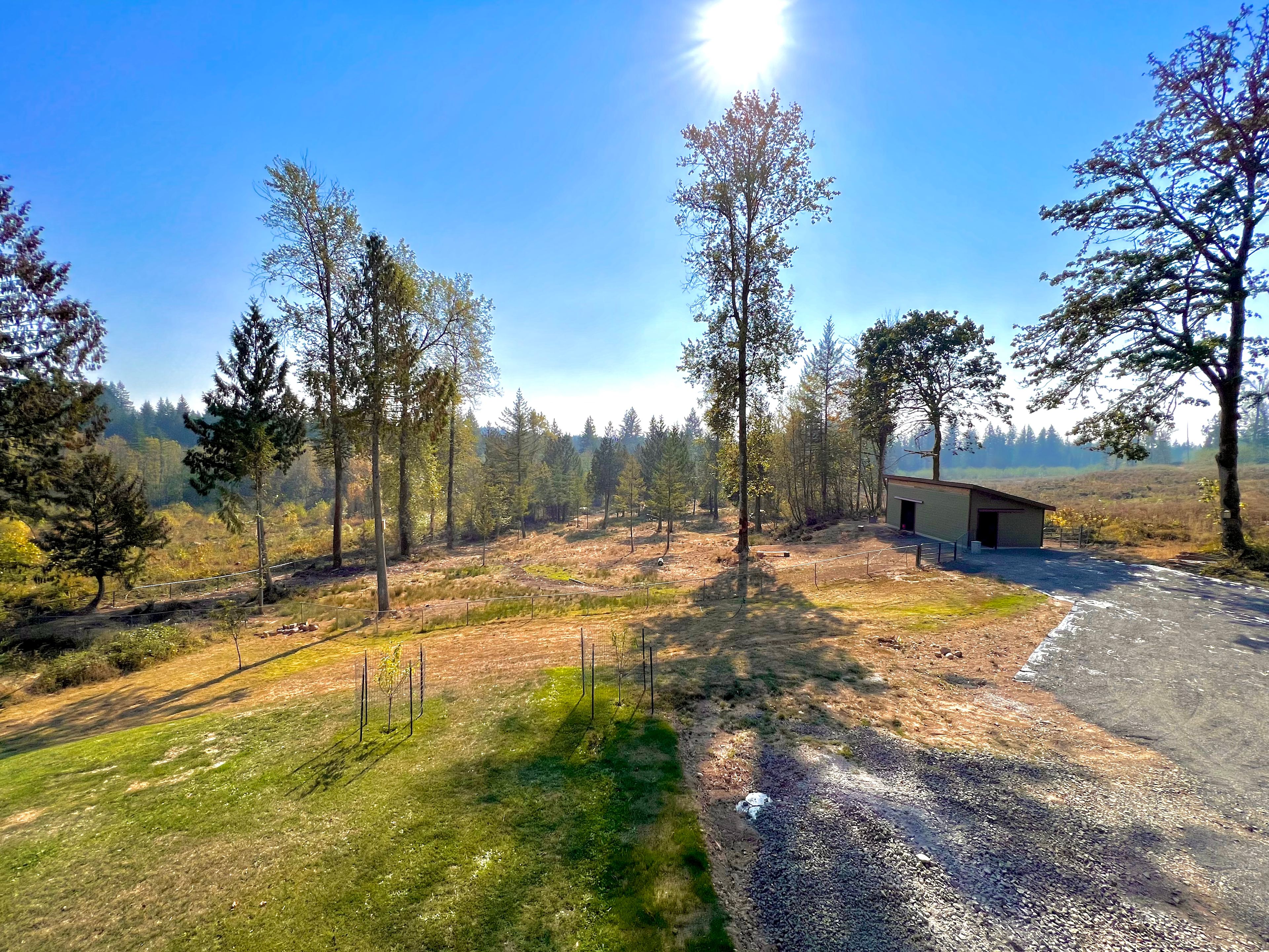 WOODED CAMPERS DELIGHT