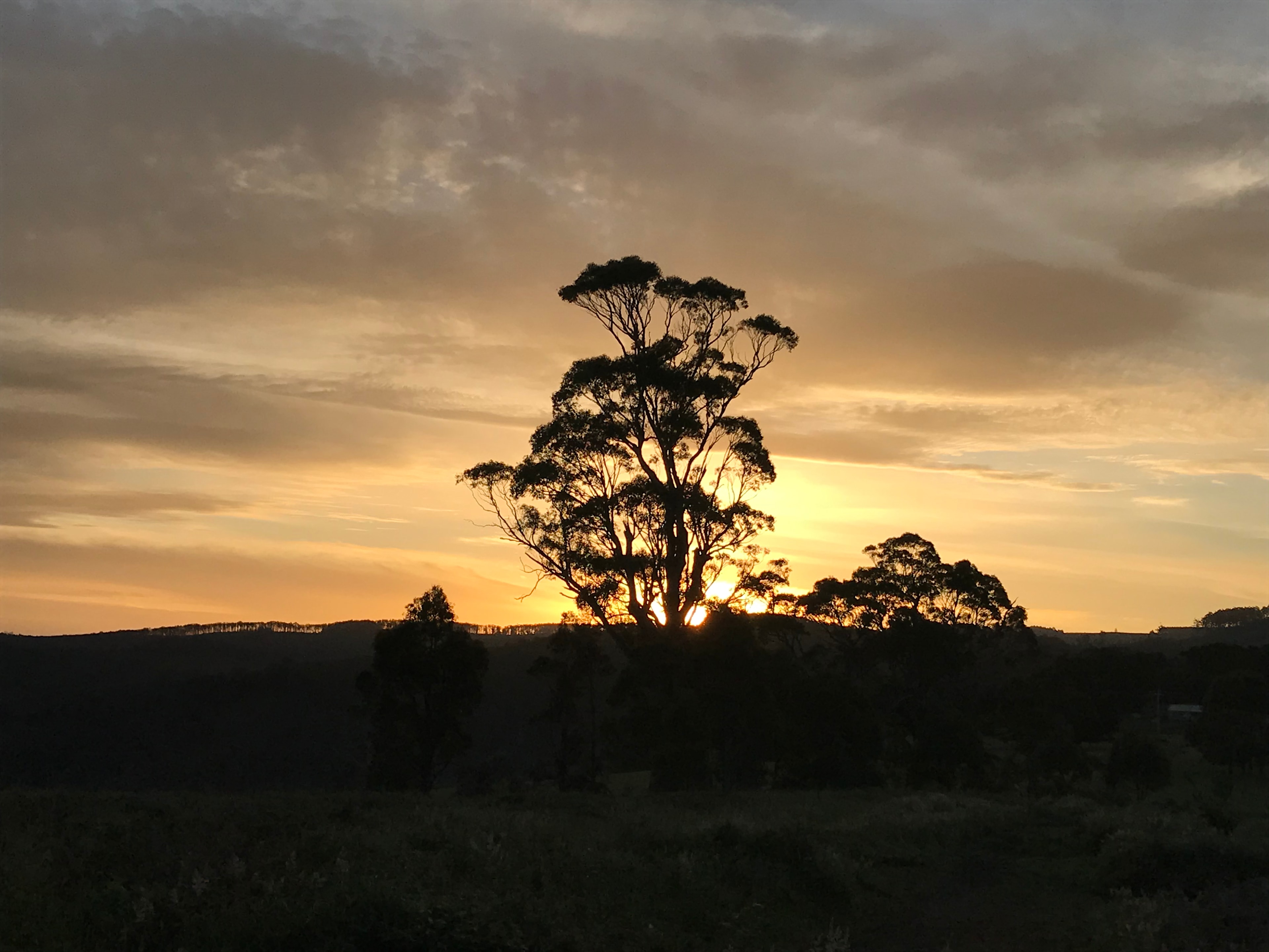 Serenity Hill Camp Grounds