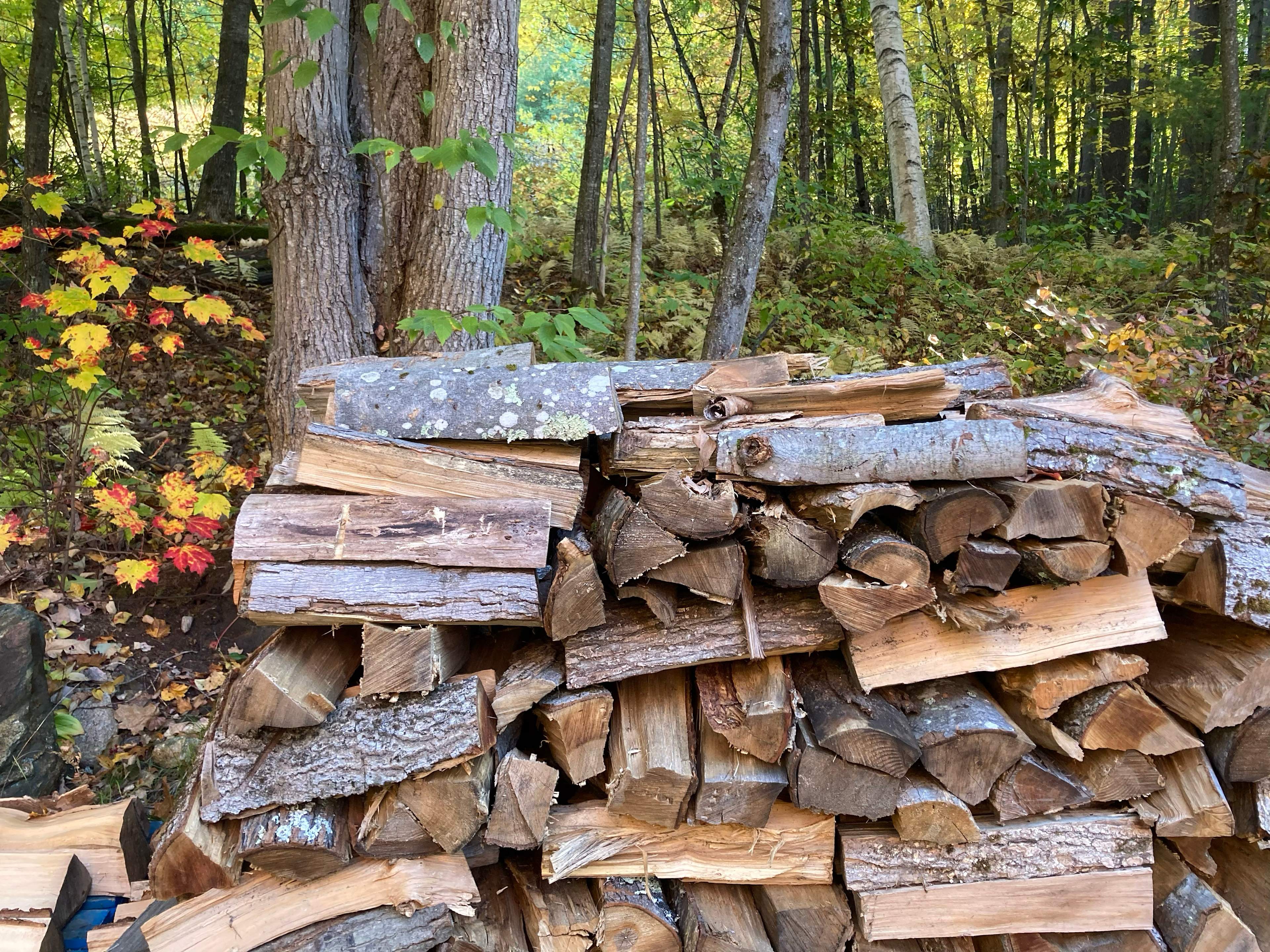 Firewood for purchase. 