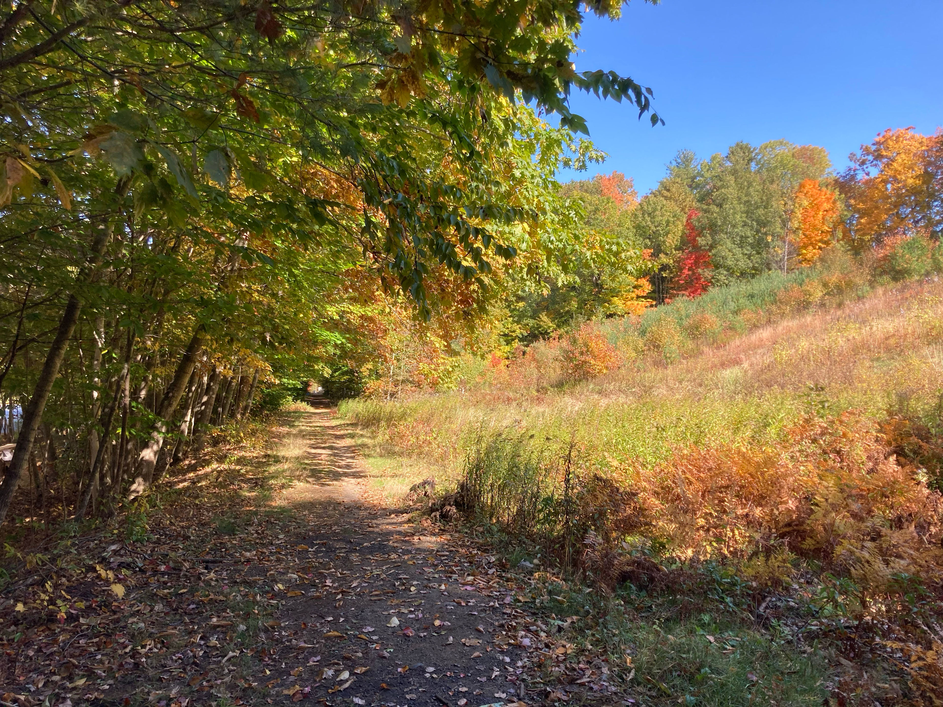 Autumn rail trail views. 