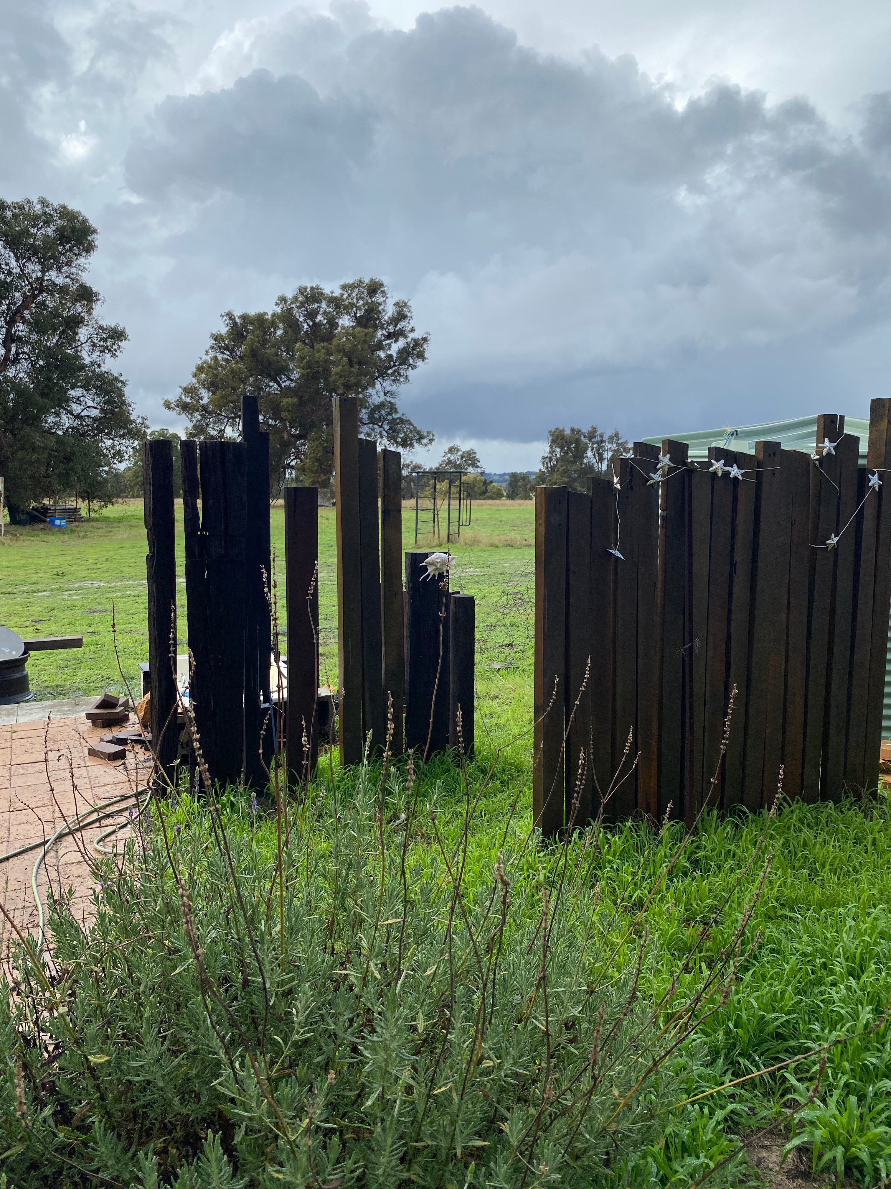 BrookHempTon Tree Farm