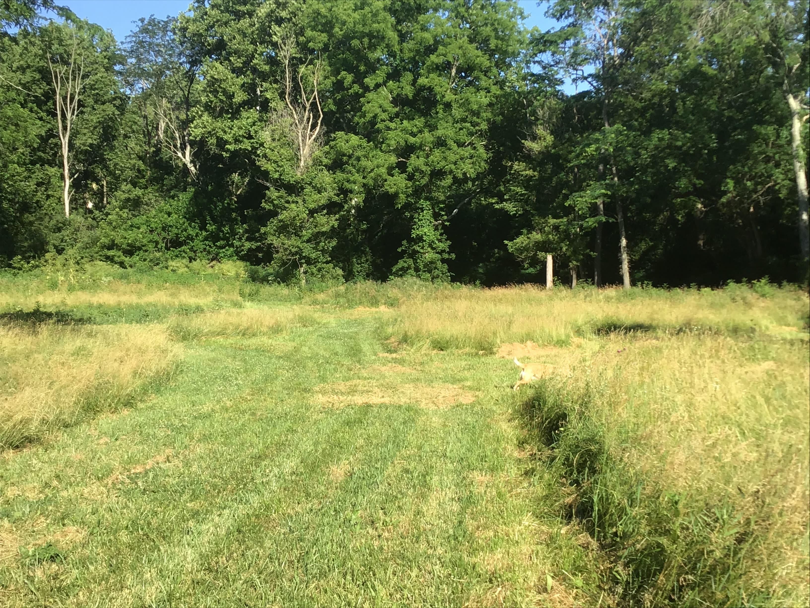 Little Darby Outdoors