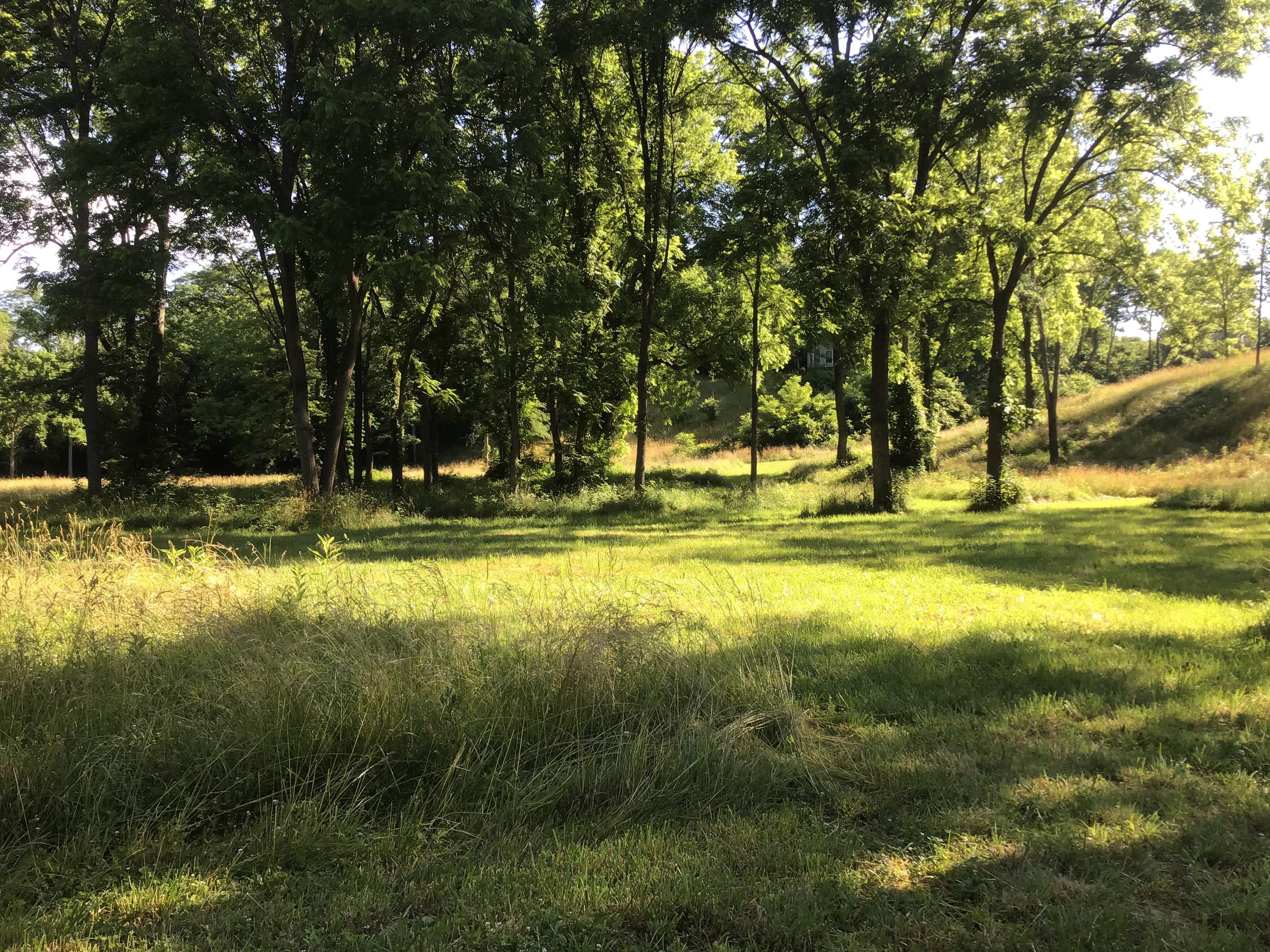 Little Darby Outdoors