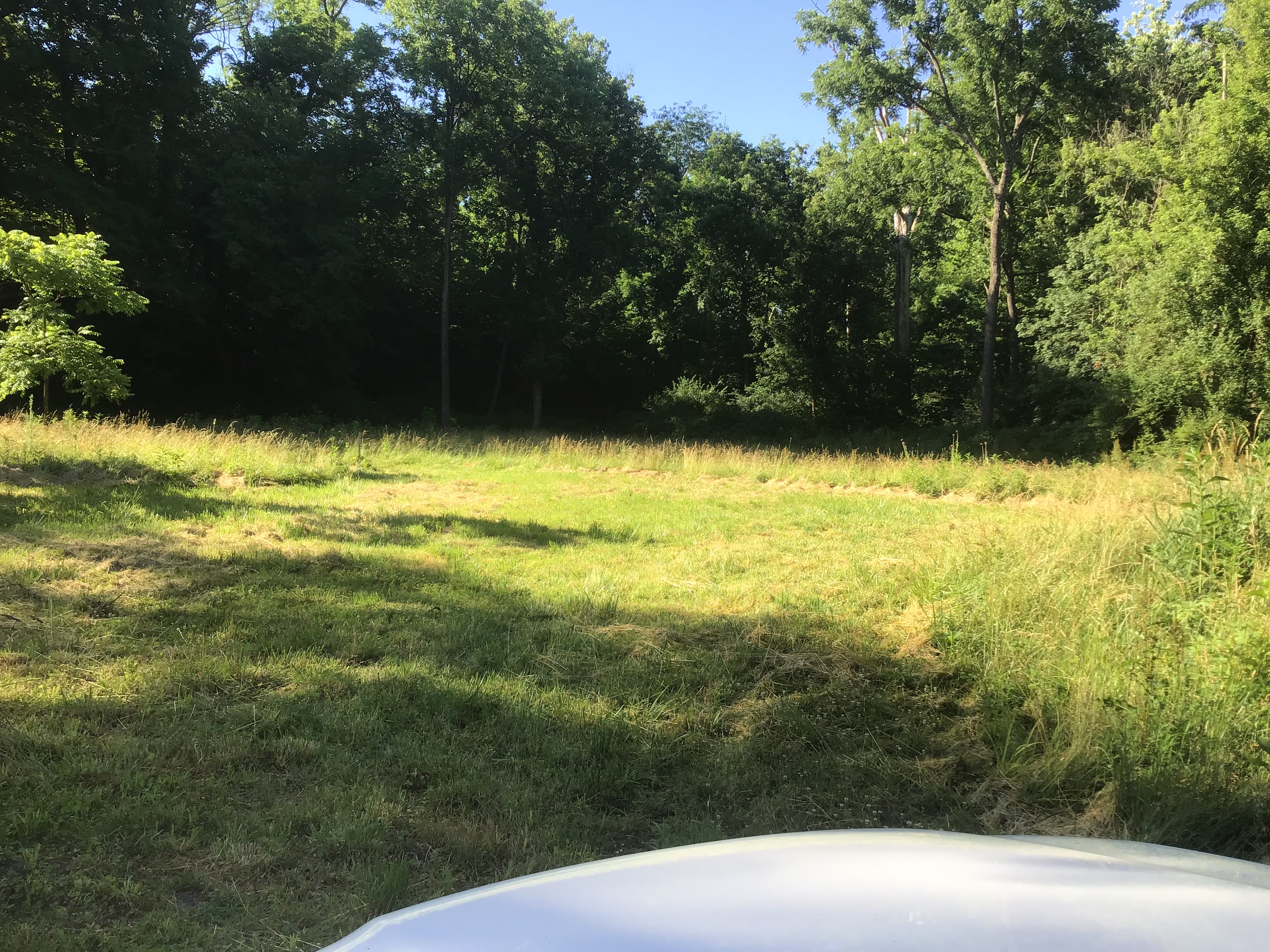 Little Darby Outdoors