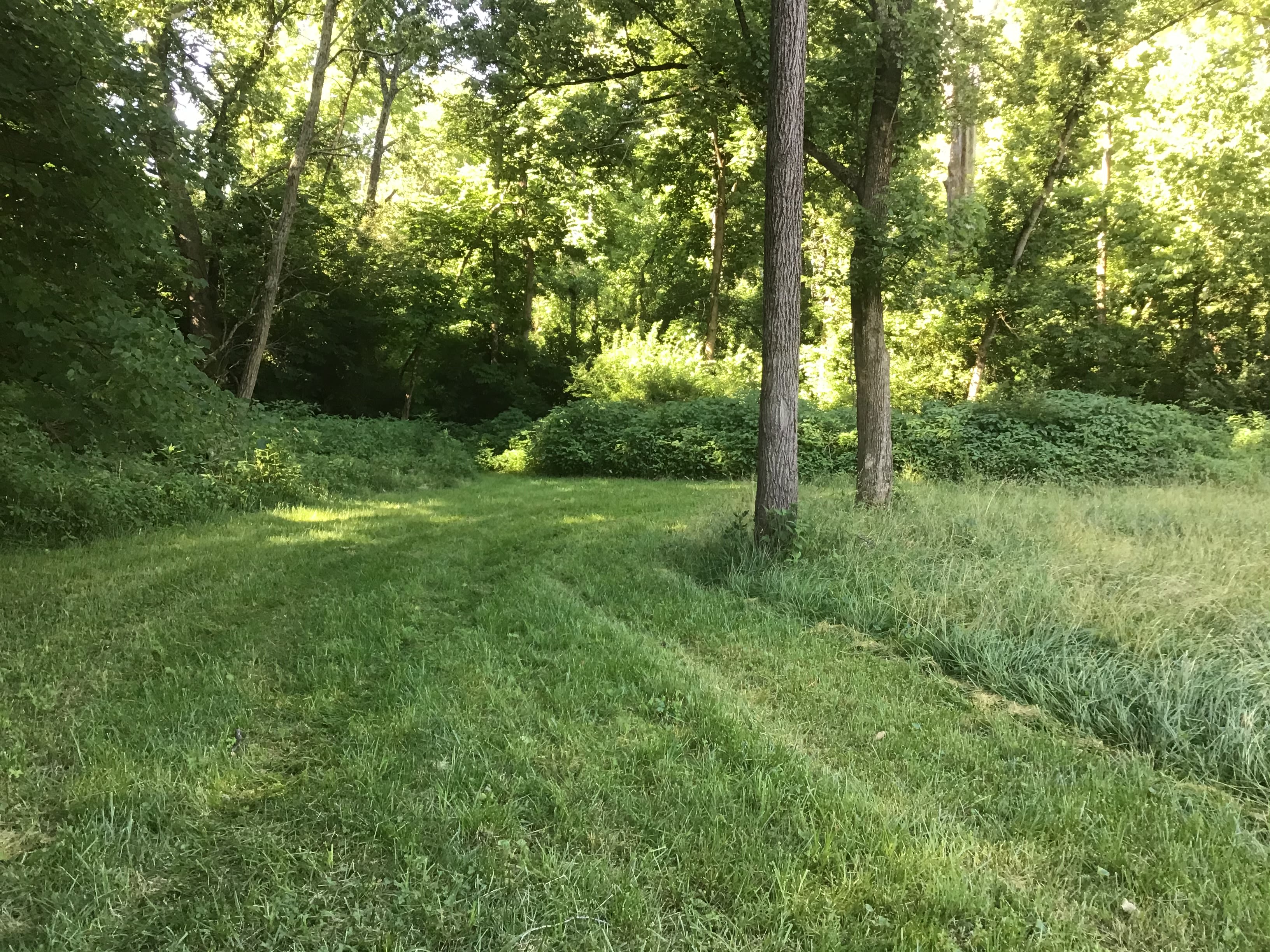 Little Darby Outdoors