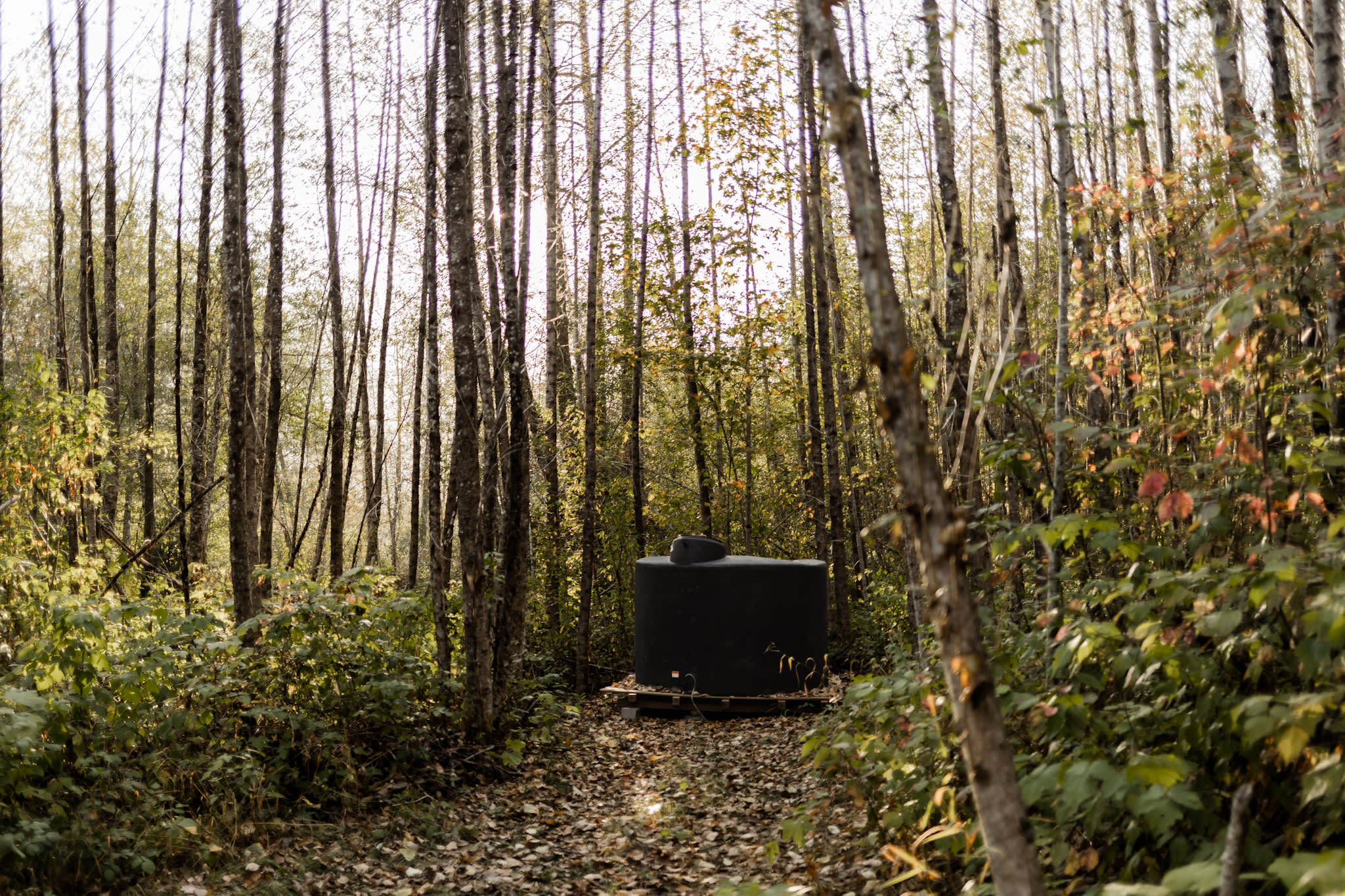 Earth Biscuits Skykomish Campground