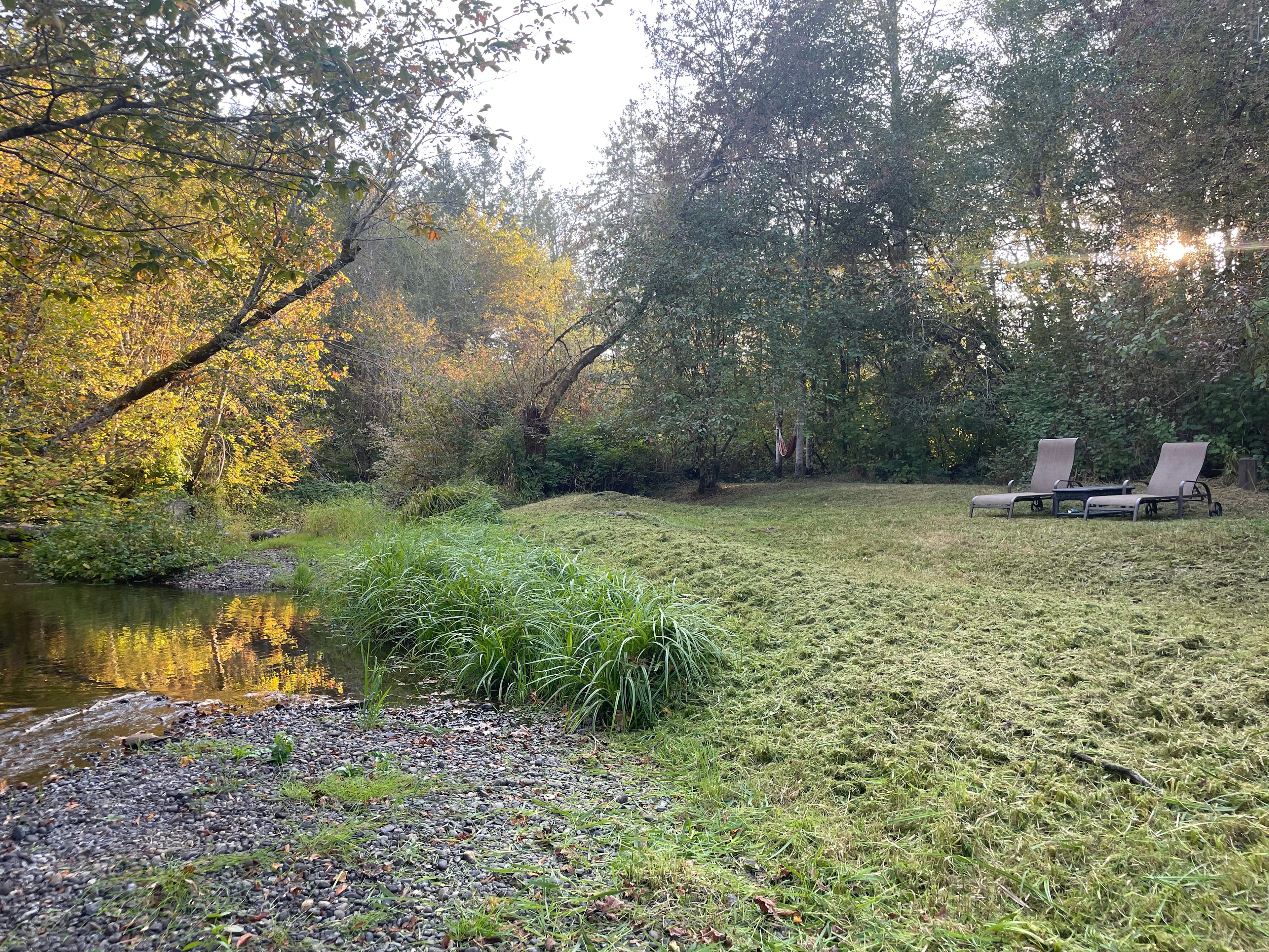Mill Creek Meadow