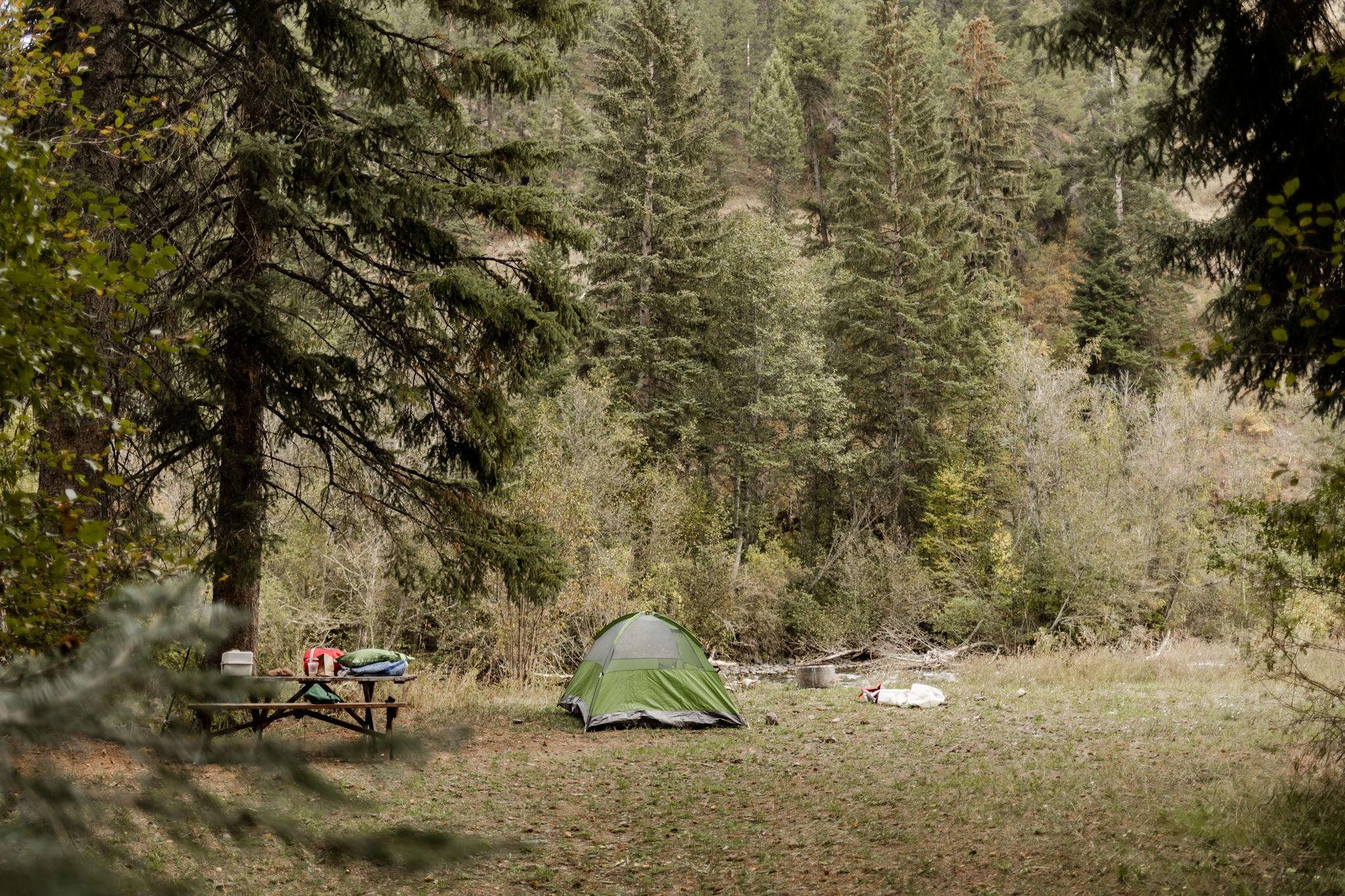Serenity on the River