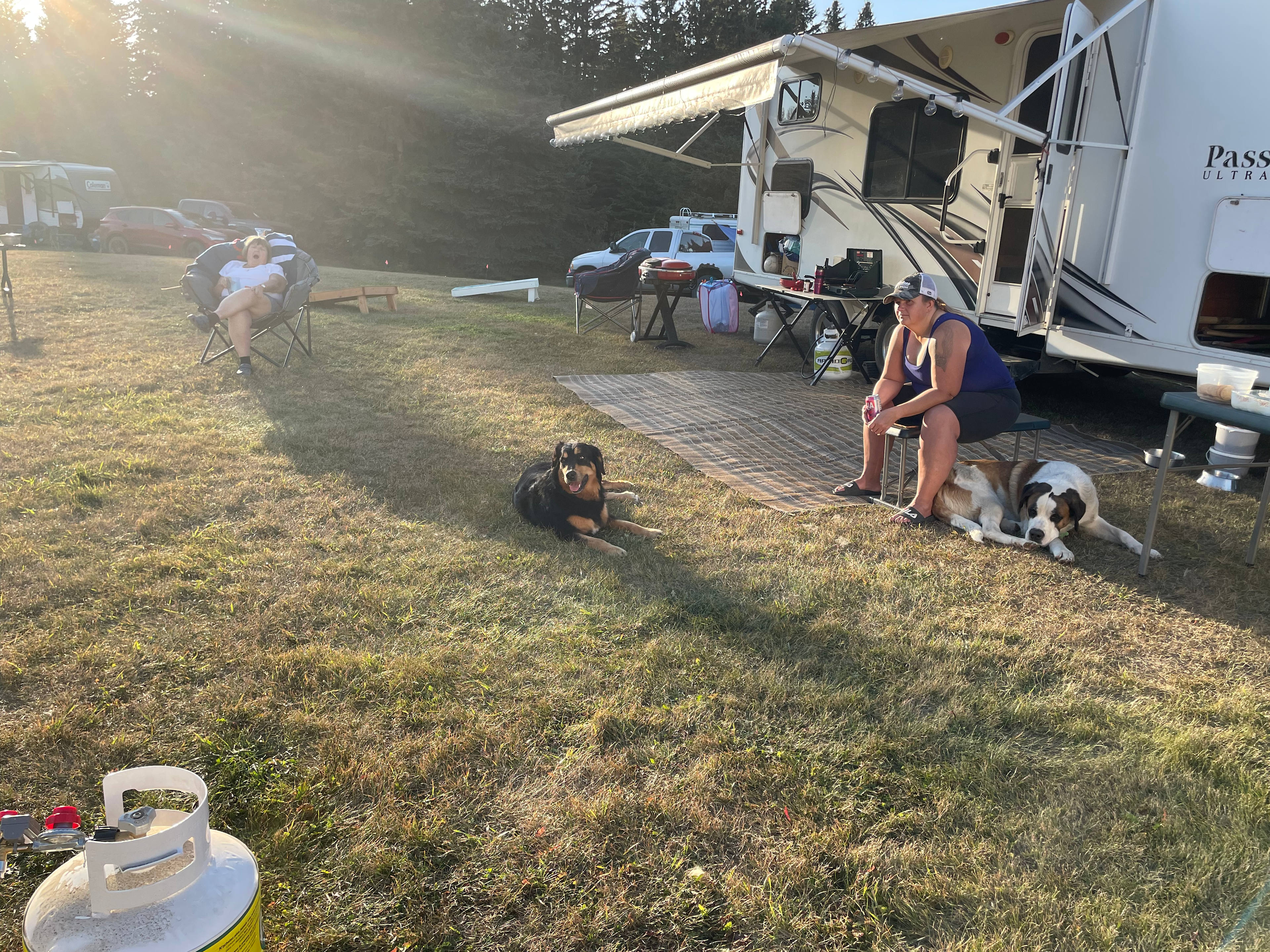 Riverside camp with Highland Cows