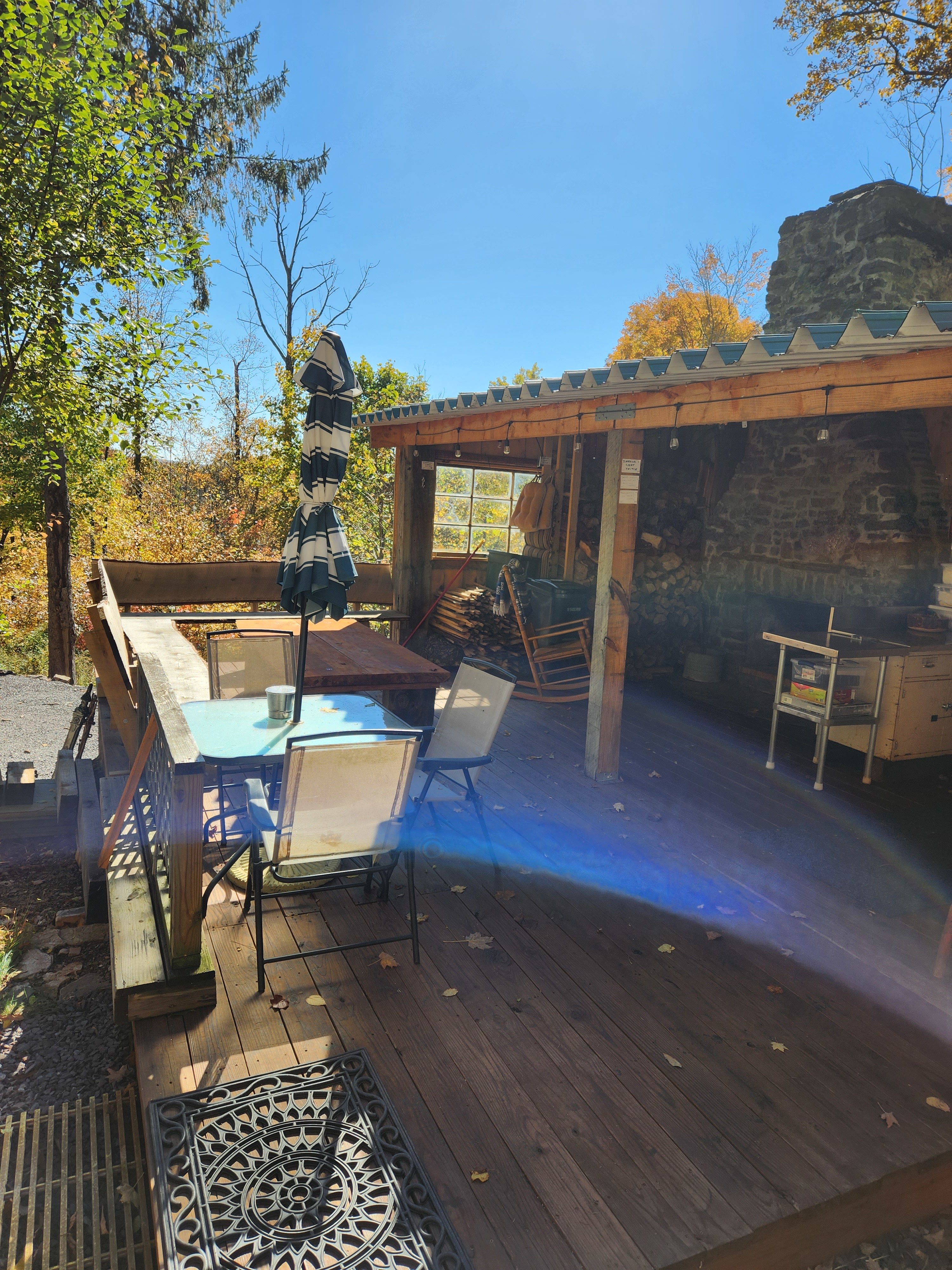 Cat's Camp