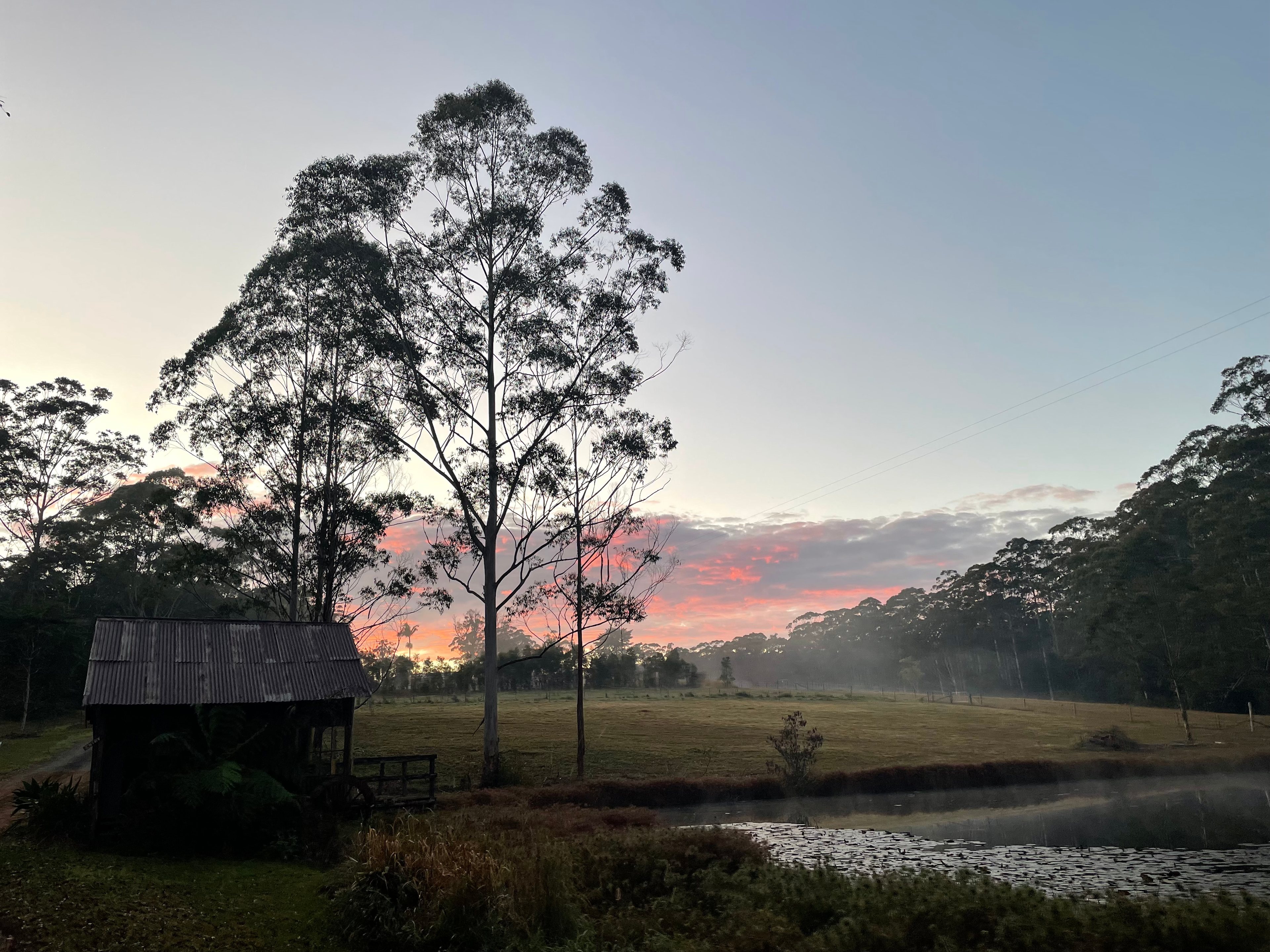 Bucca Valley Blueberries Farmstay