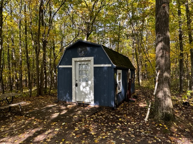 The 40 Acre Wood