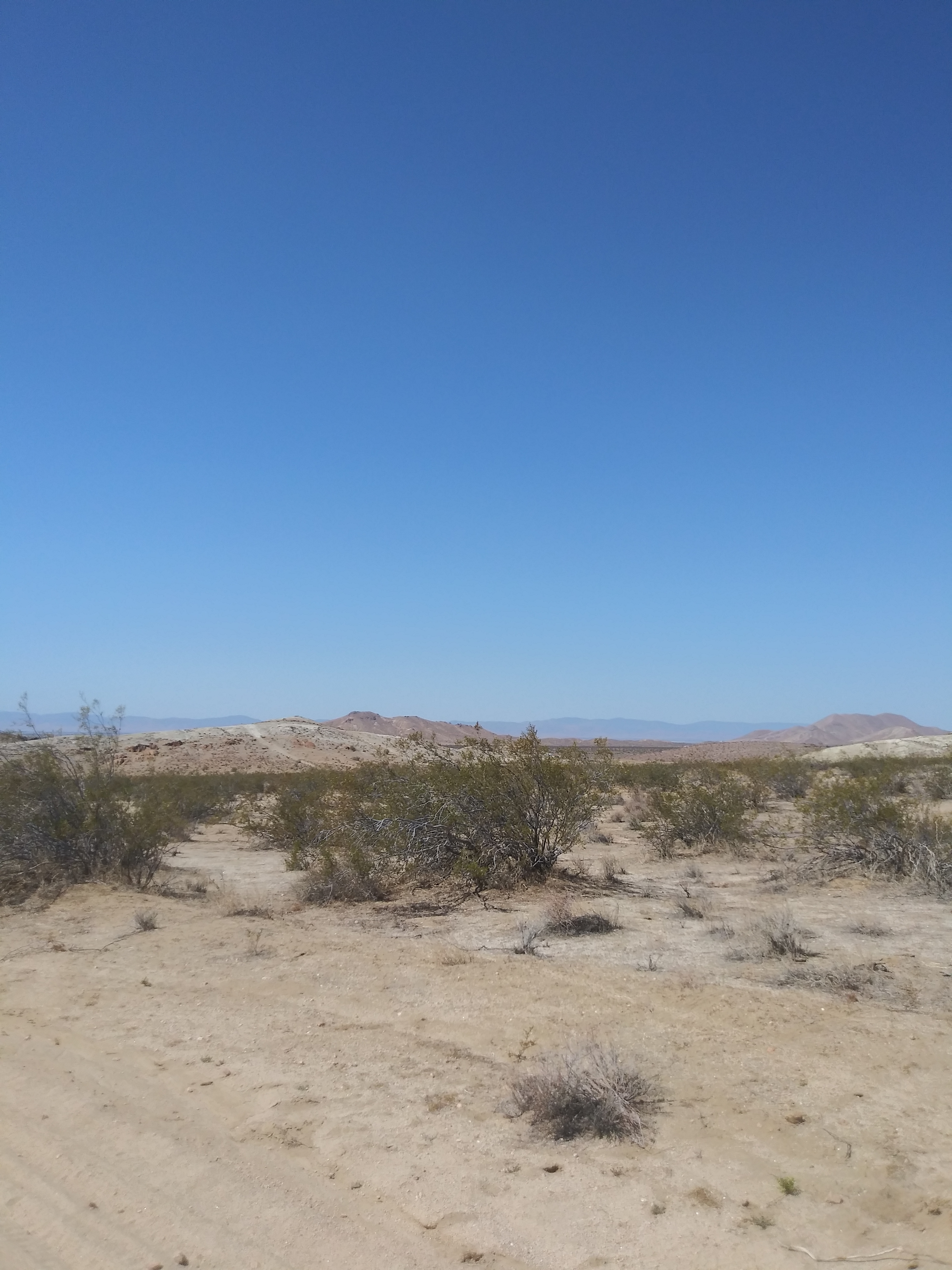 The Ki Ranch