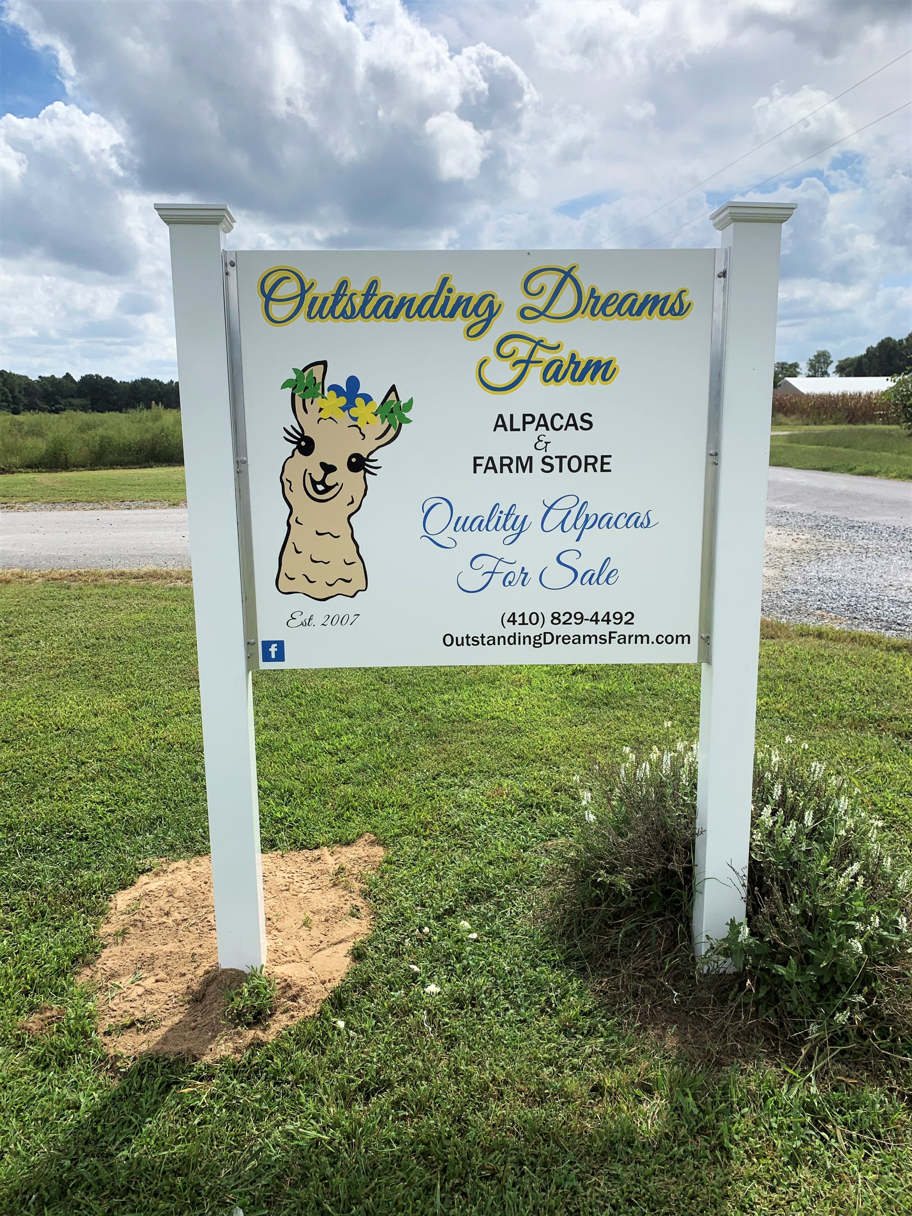 Outstanding Dreams Alpaca Farm