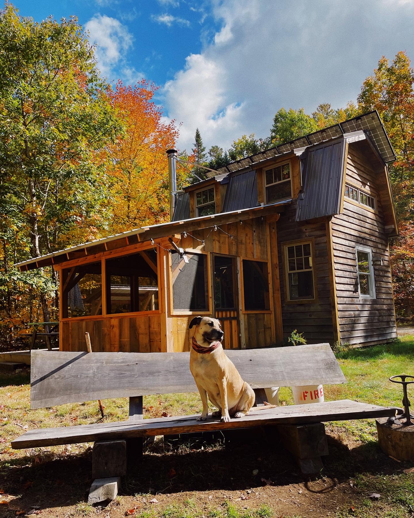 Raven's Rest Tiny Cabin