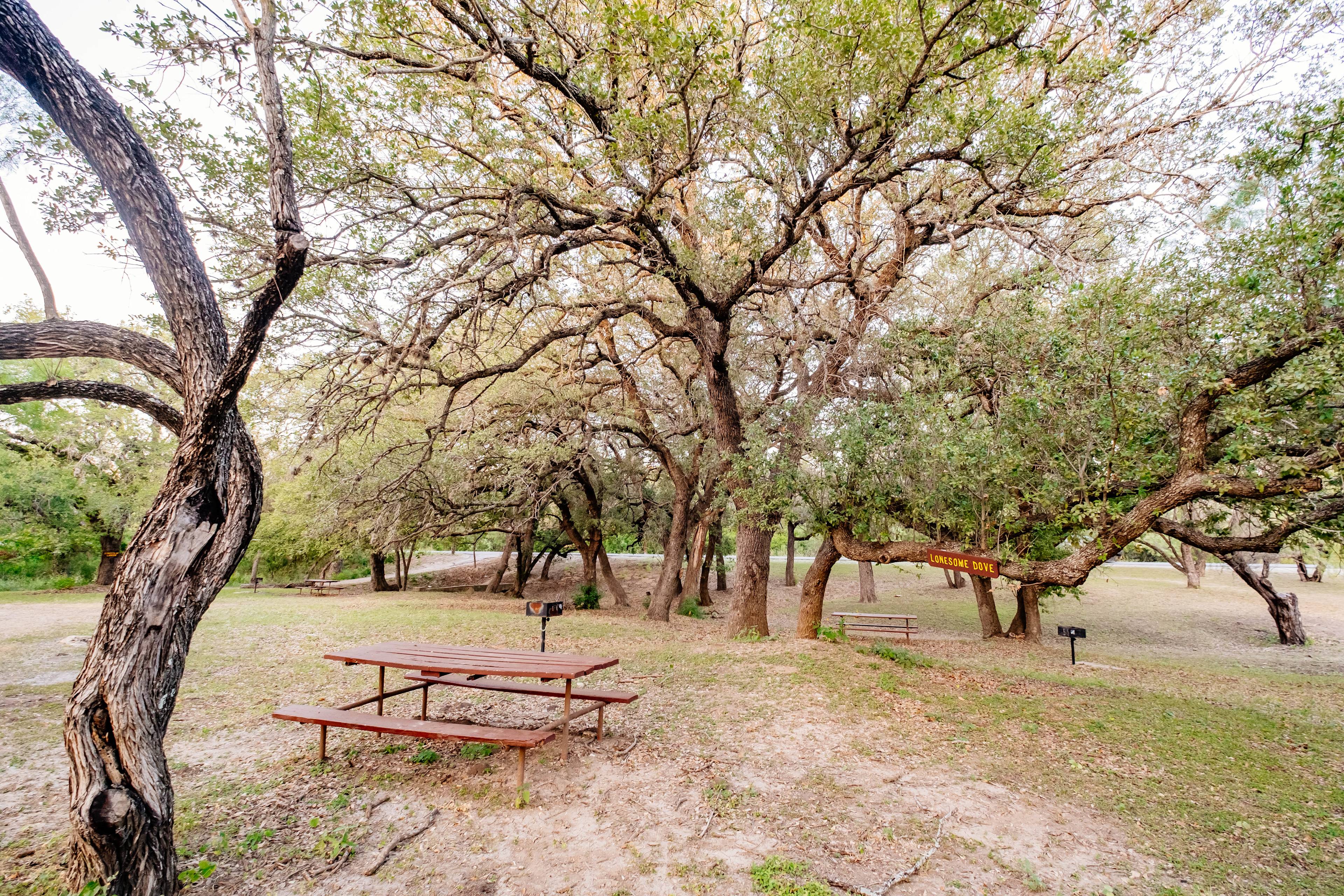 Tent Camp Site