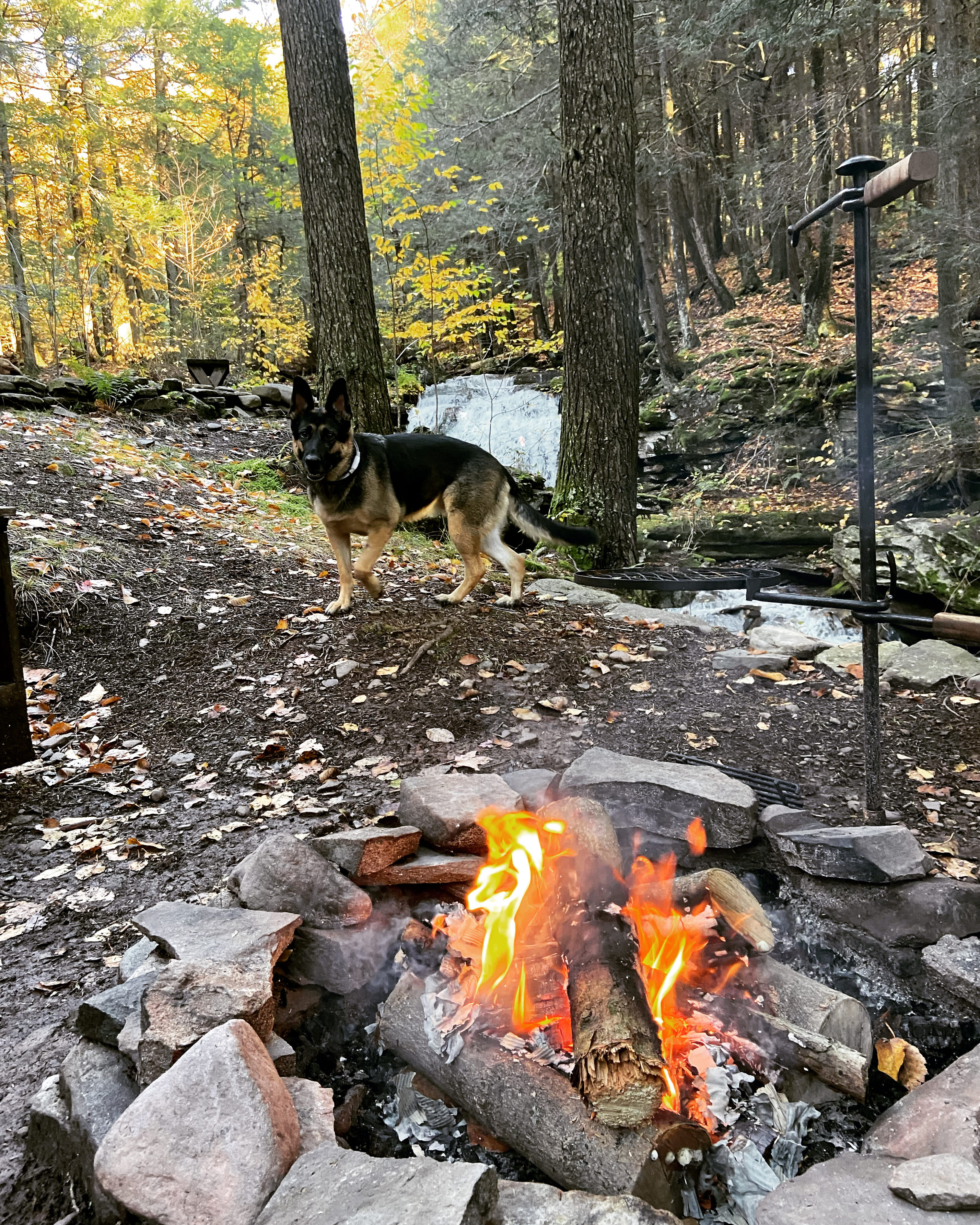 Views of waterfall from the fire pit 