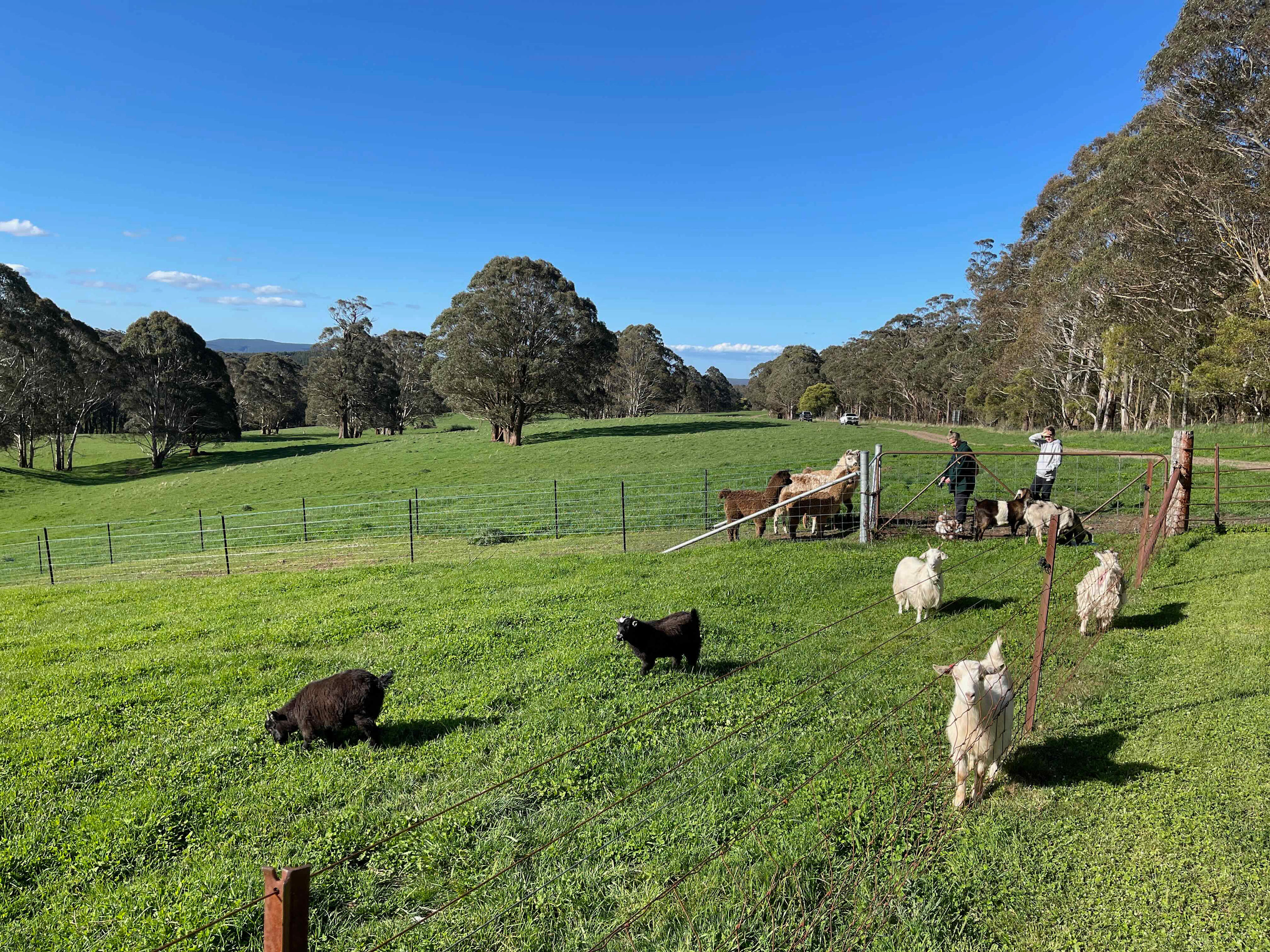 Kenzell Farm
