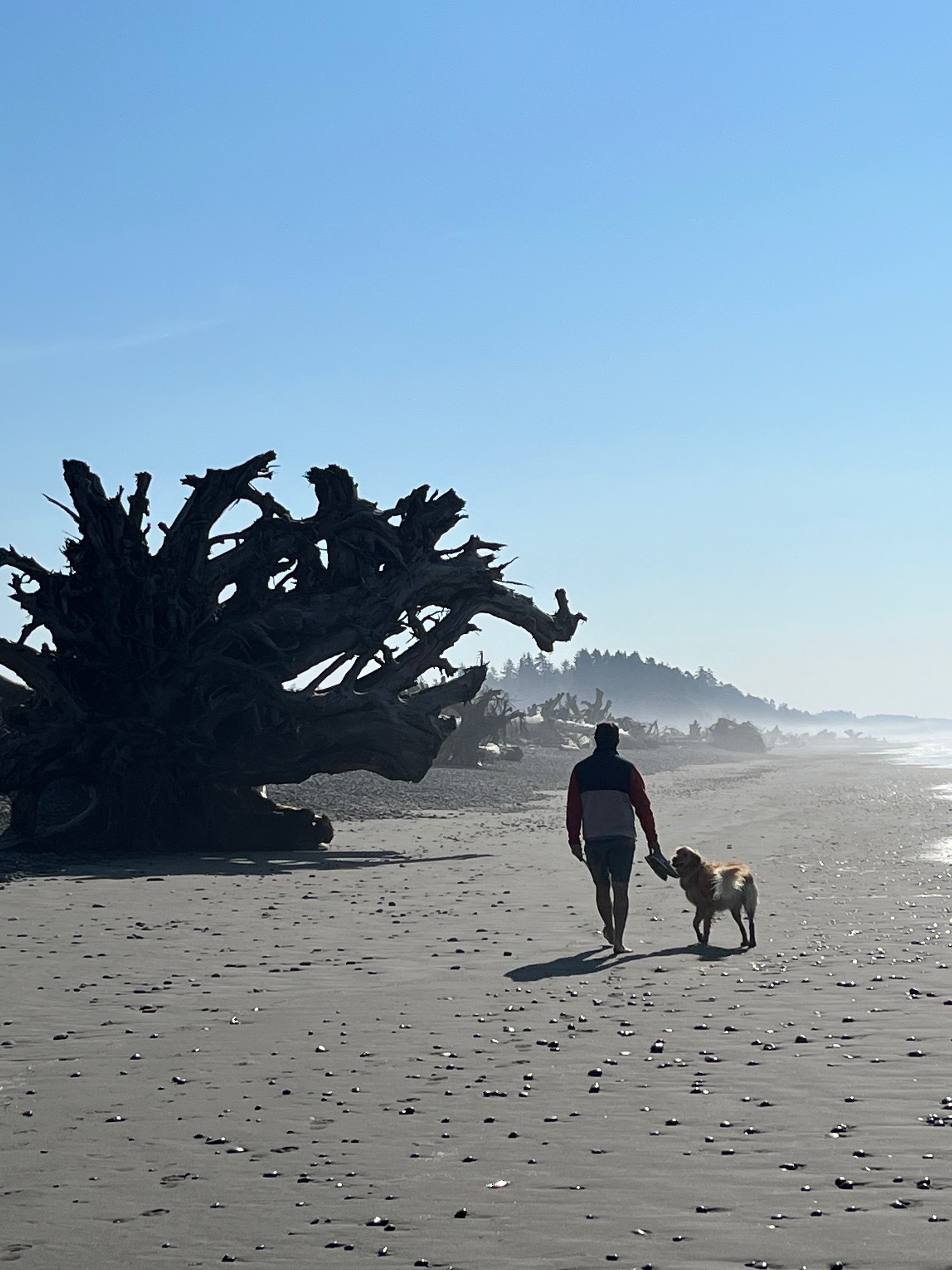 Wild WA Coast Lookout ($75 - $125)