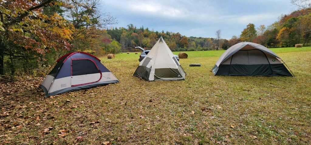 Looking towards the road from the camping spot. 