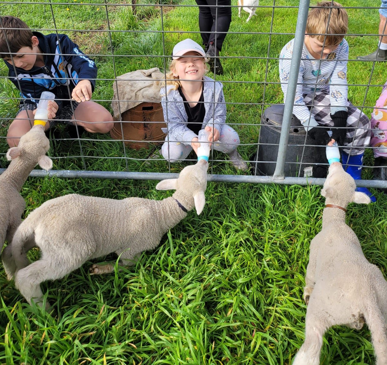 Kentucky Family Campsite