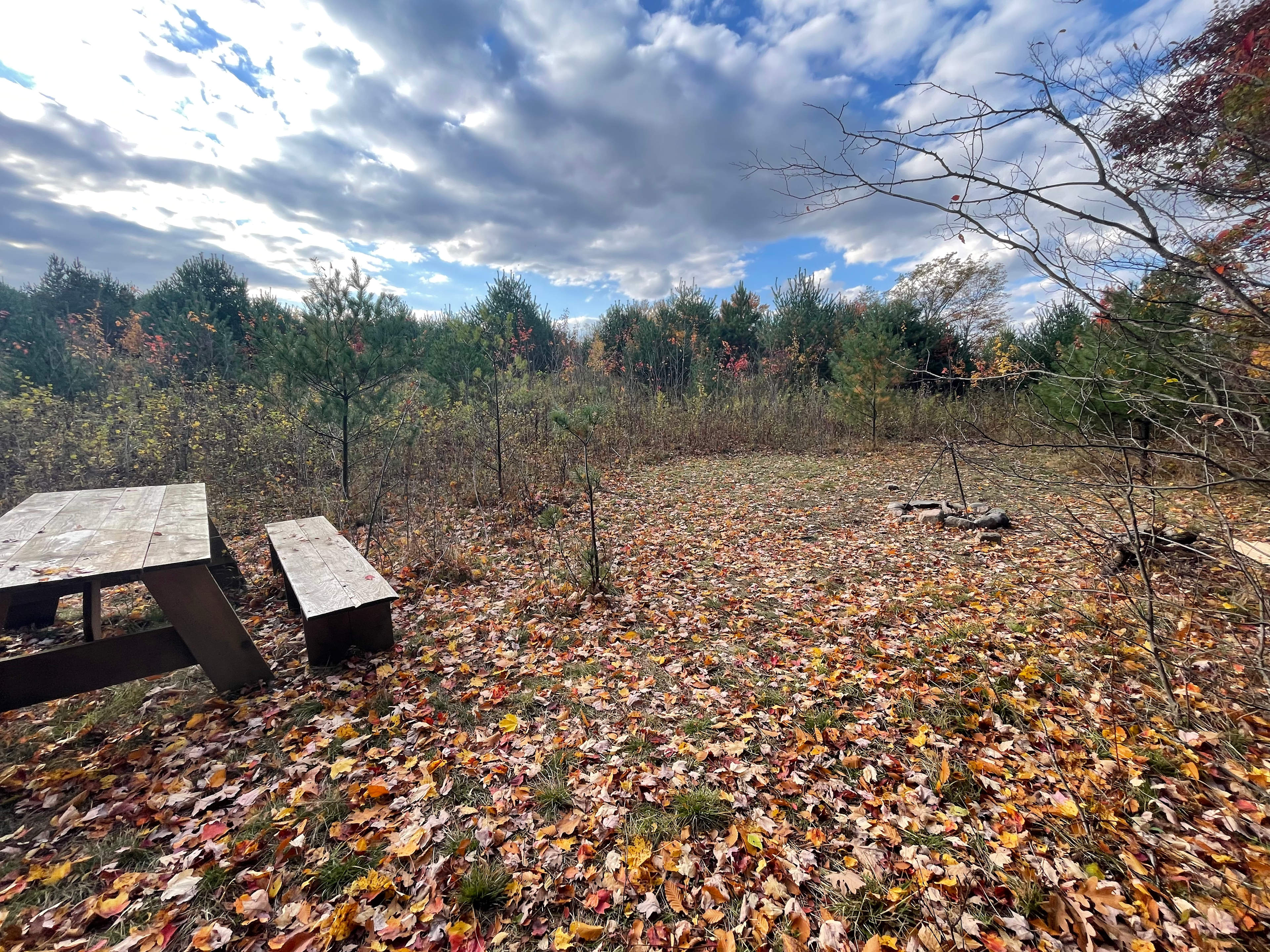 Stoney Goat Homestead