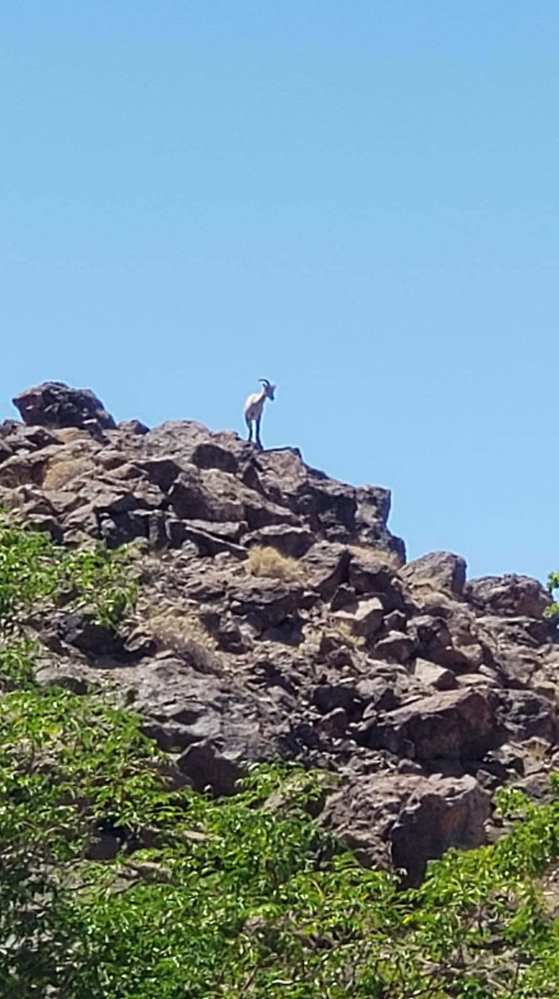 Mountain Shadow Hideaway