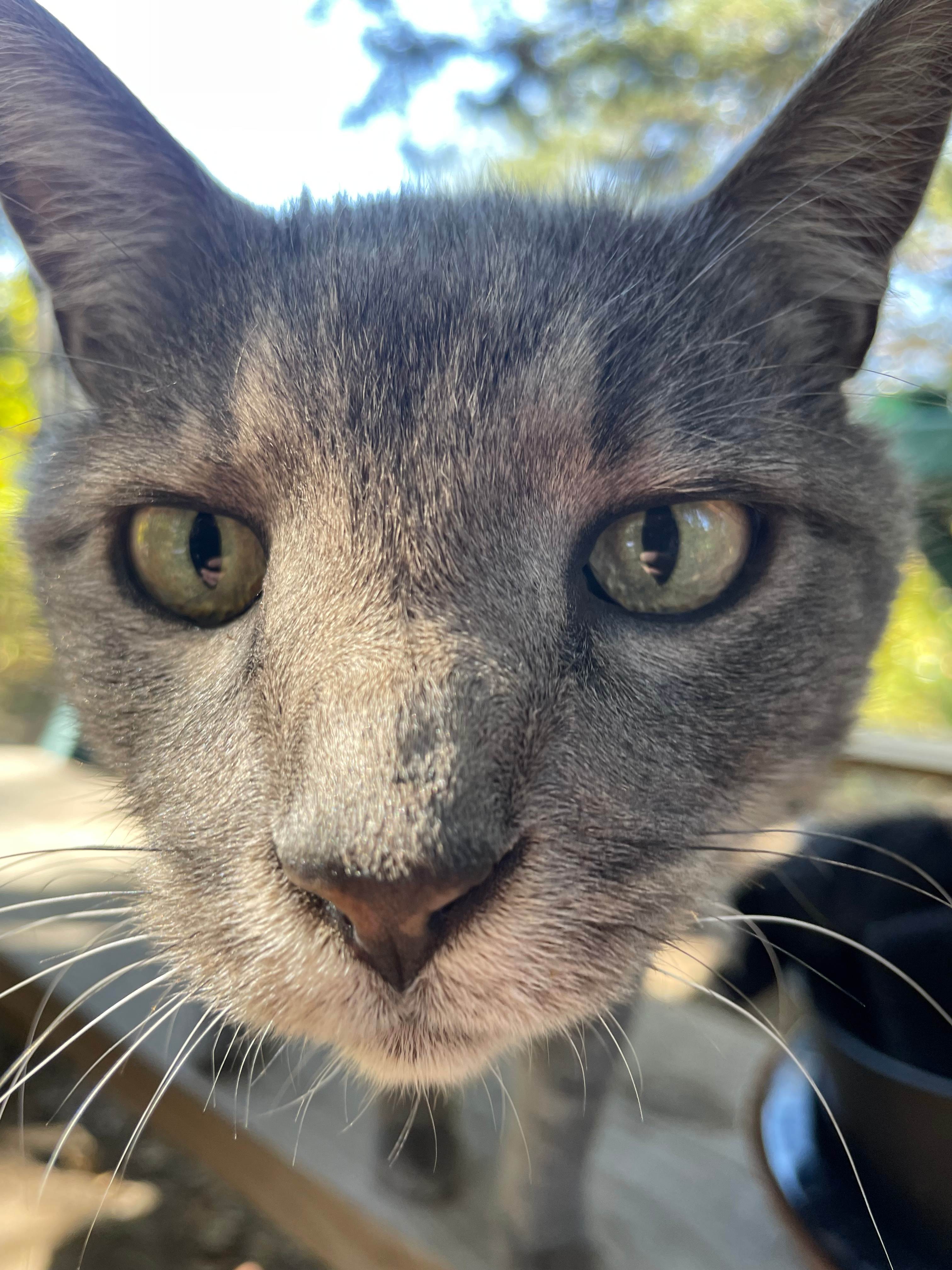 Open-air Meditation Sanctuary